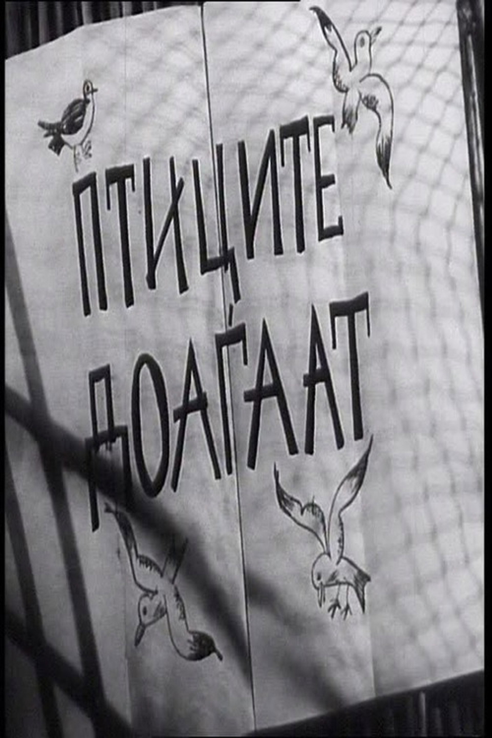 Птиците доаѓаaт