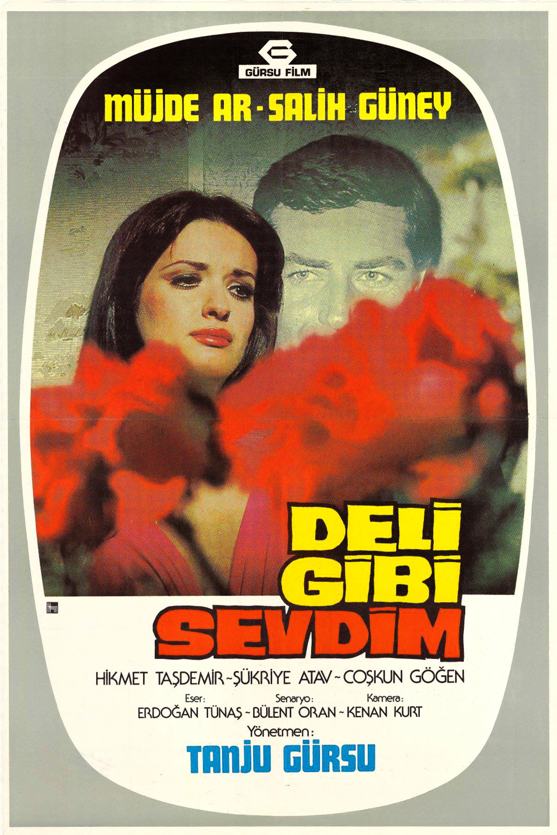 Deli Gibi Sevdim