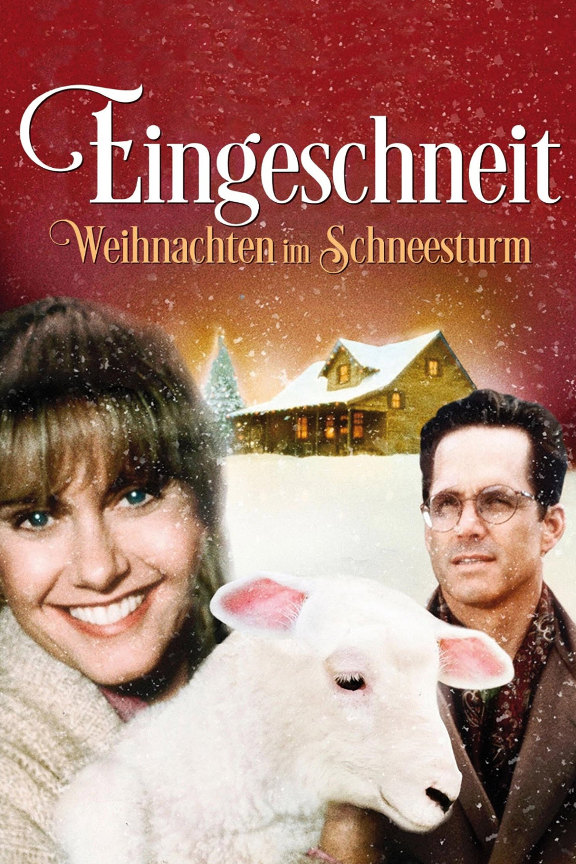 Eingeschneit - Weihnachten im Schneesturm