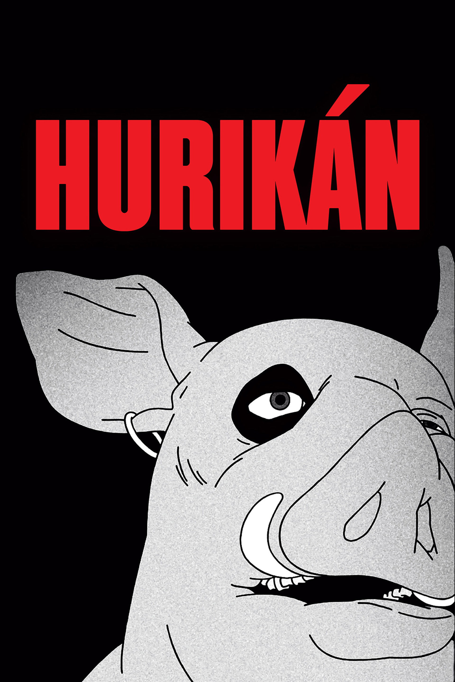 Hurikán