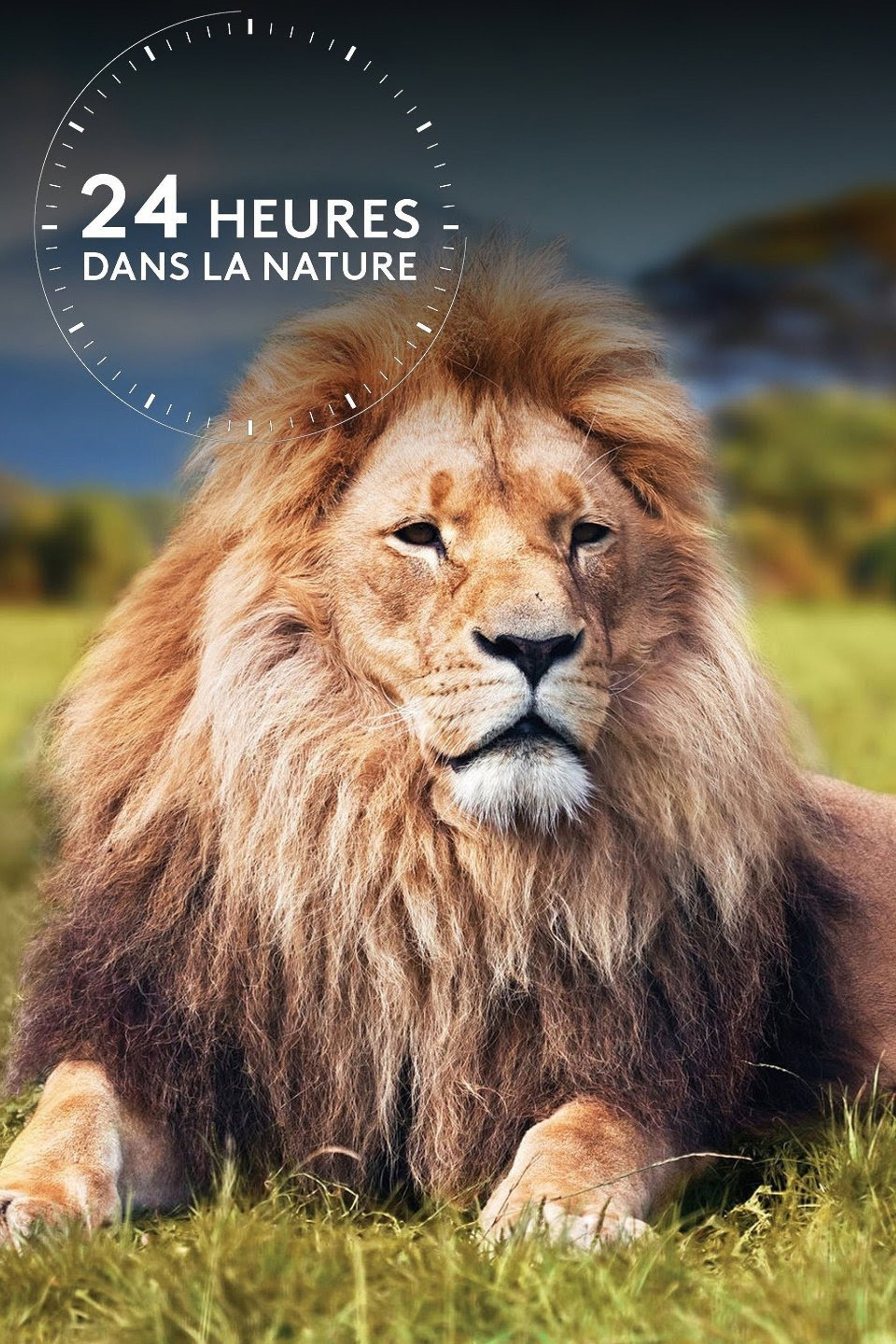 24 heures dans la nature