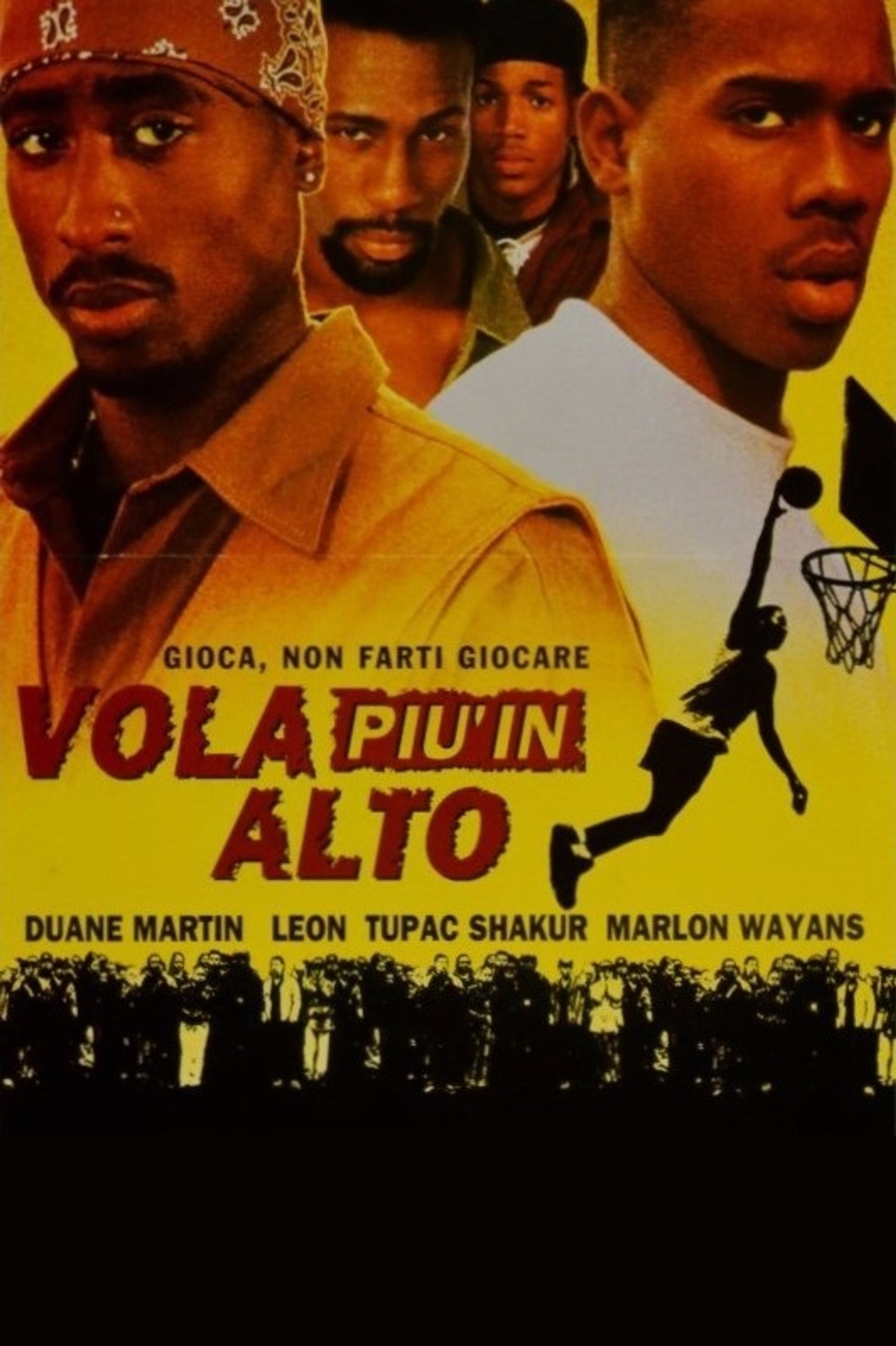 Vola più in alto