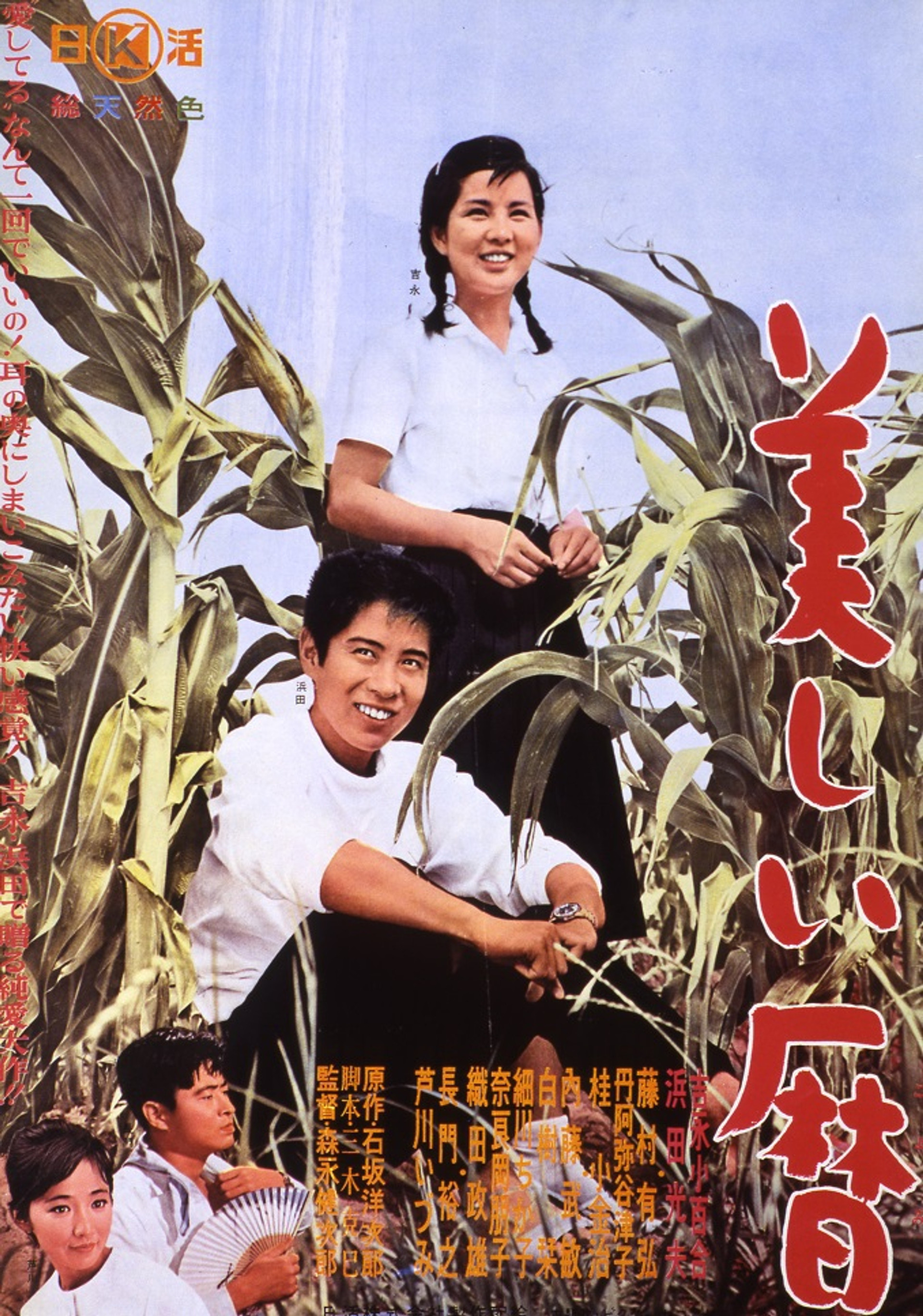 美しい暦