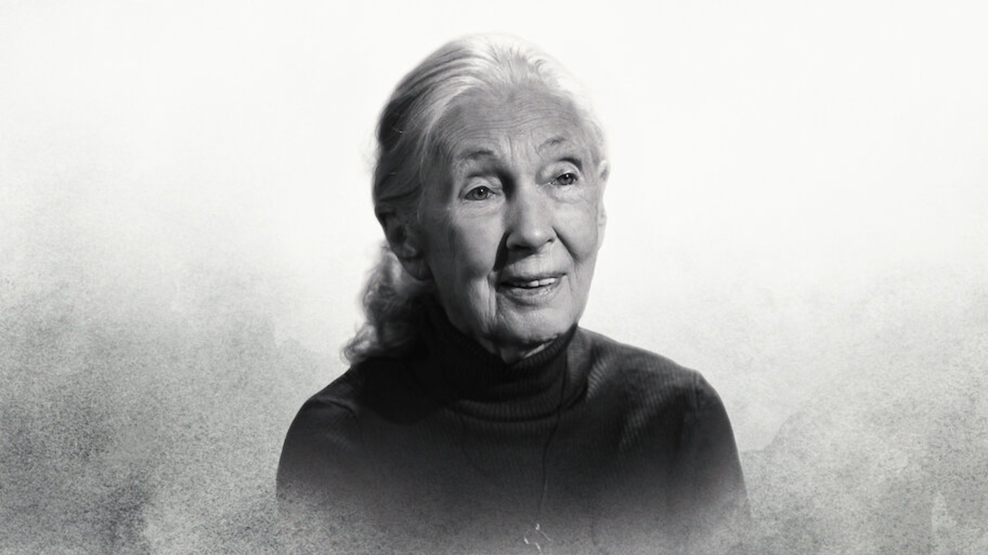 Famous Last Words: Dr. Jane Goodall