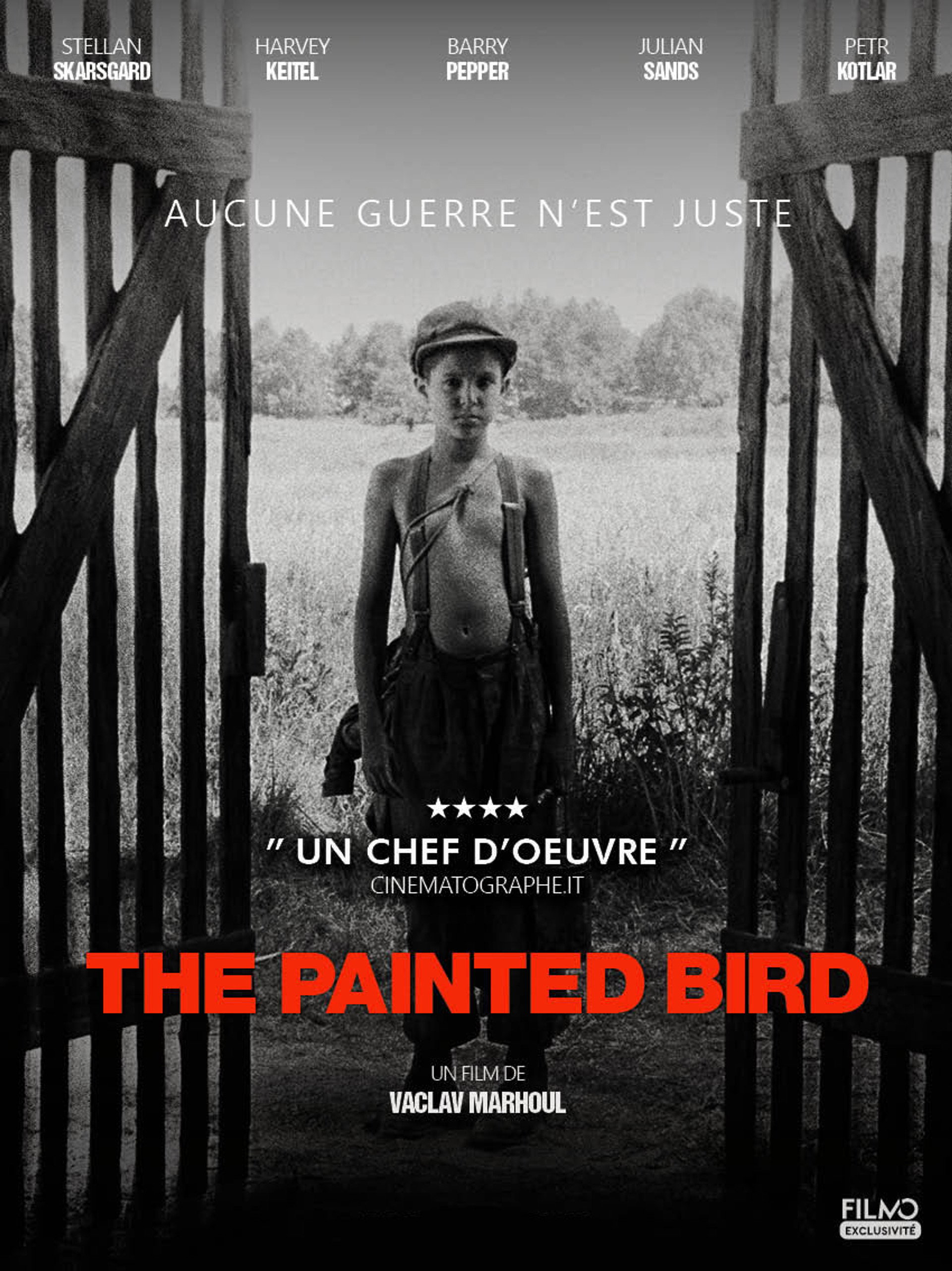 L'Oiseau bariolé
