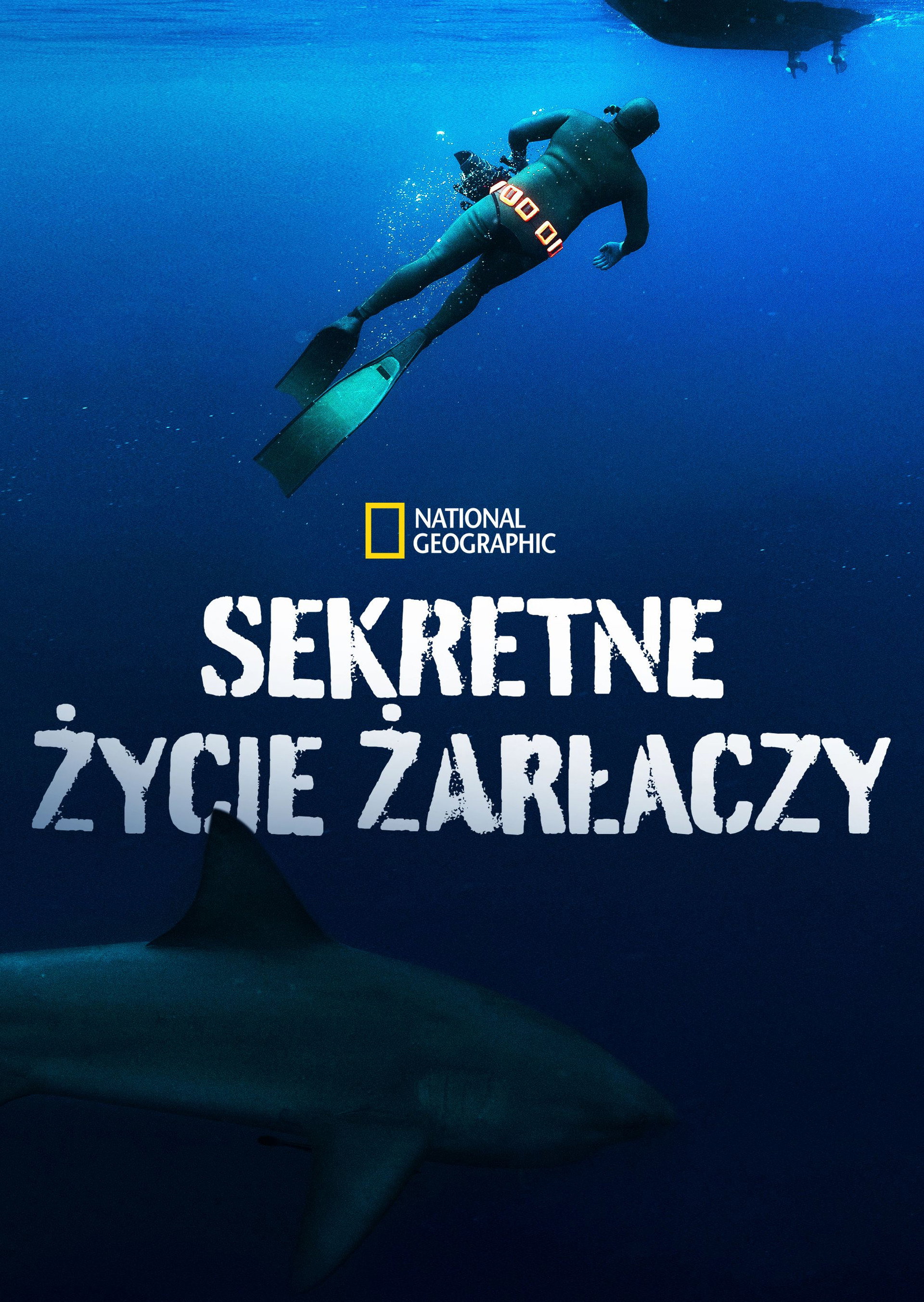 Sekretne życie żarłaczy