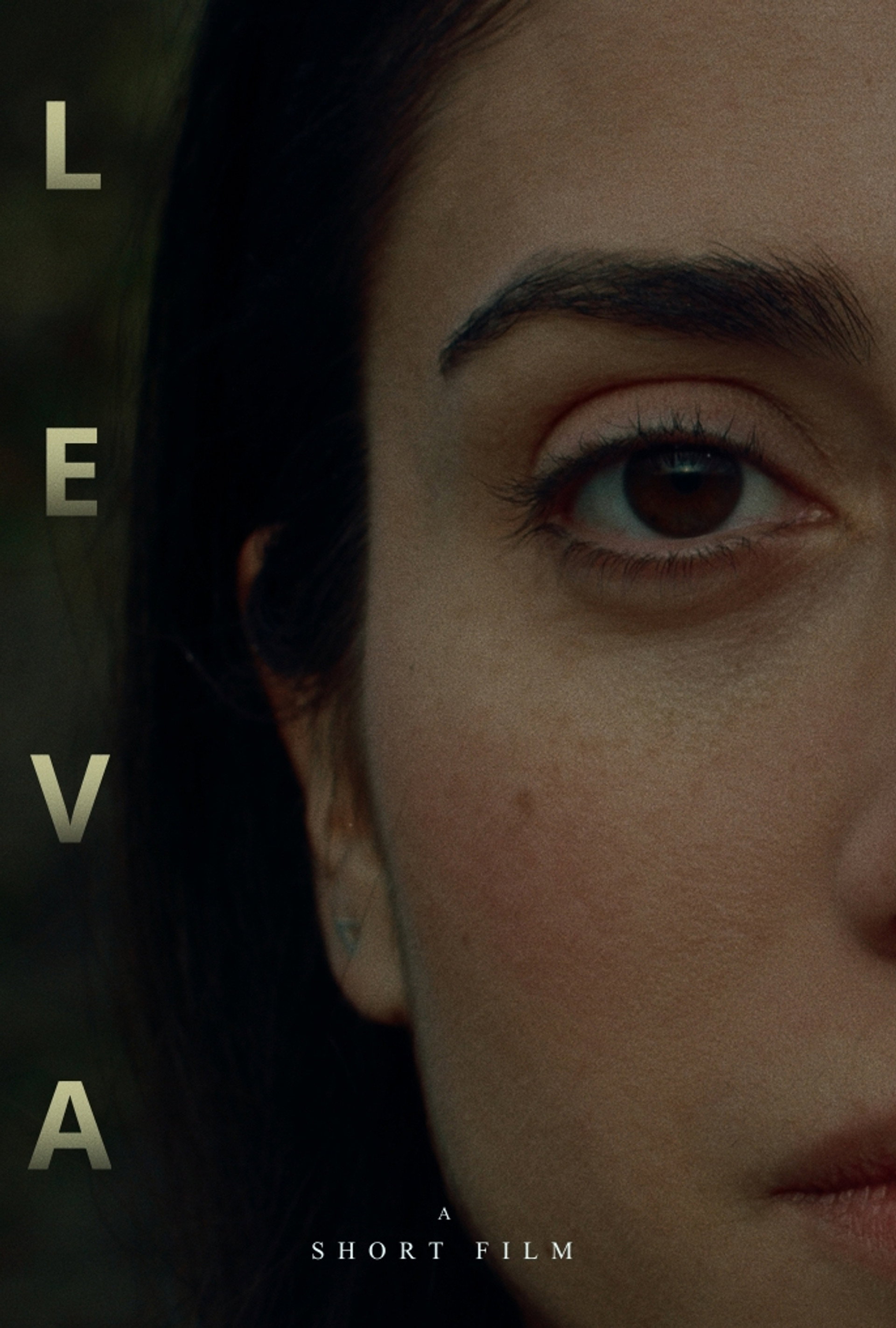 L E V A