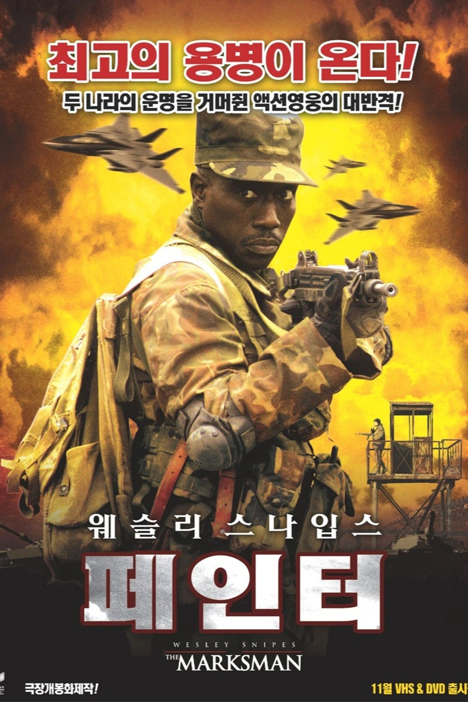 페인터