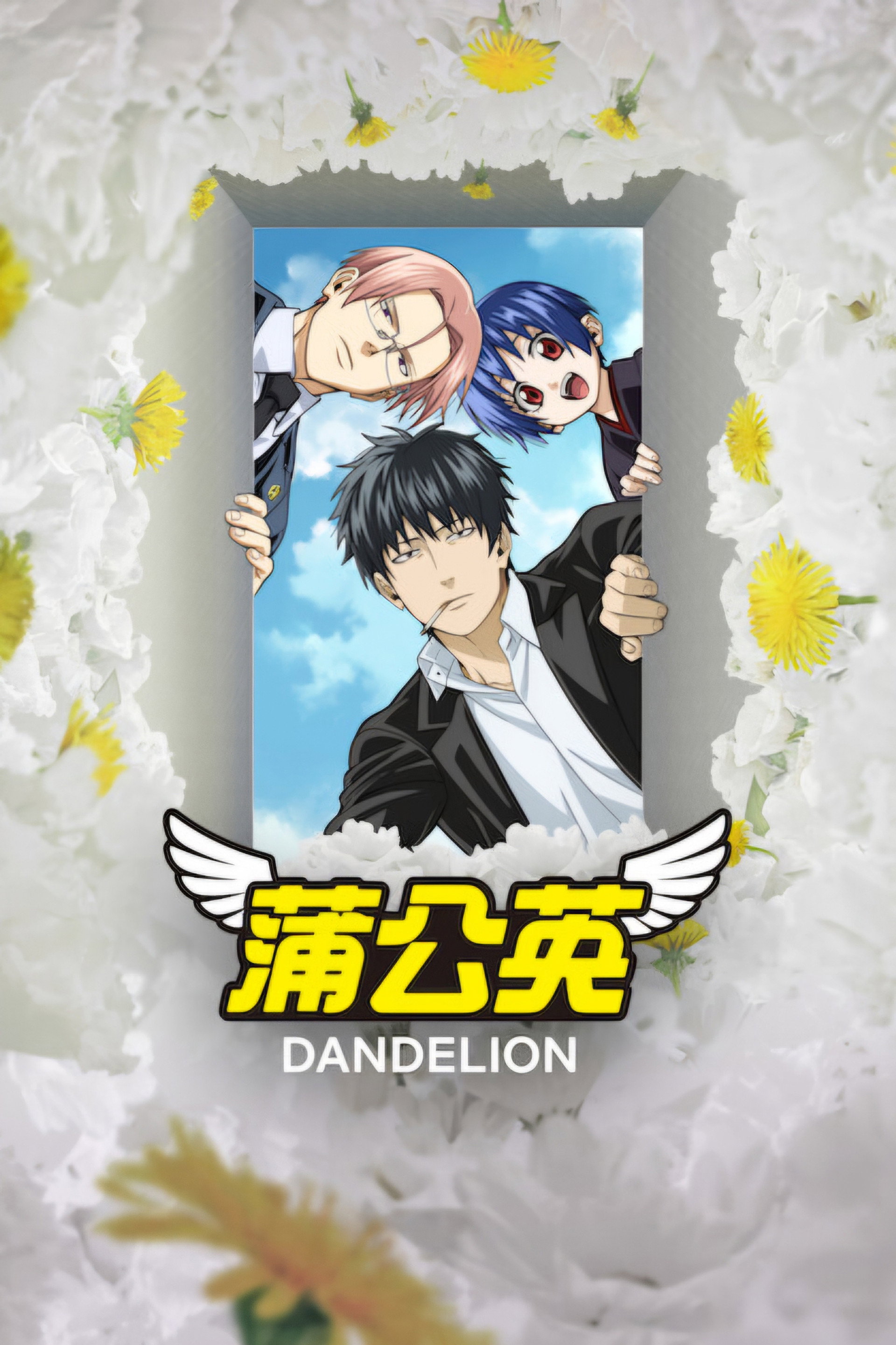 蒲公英