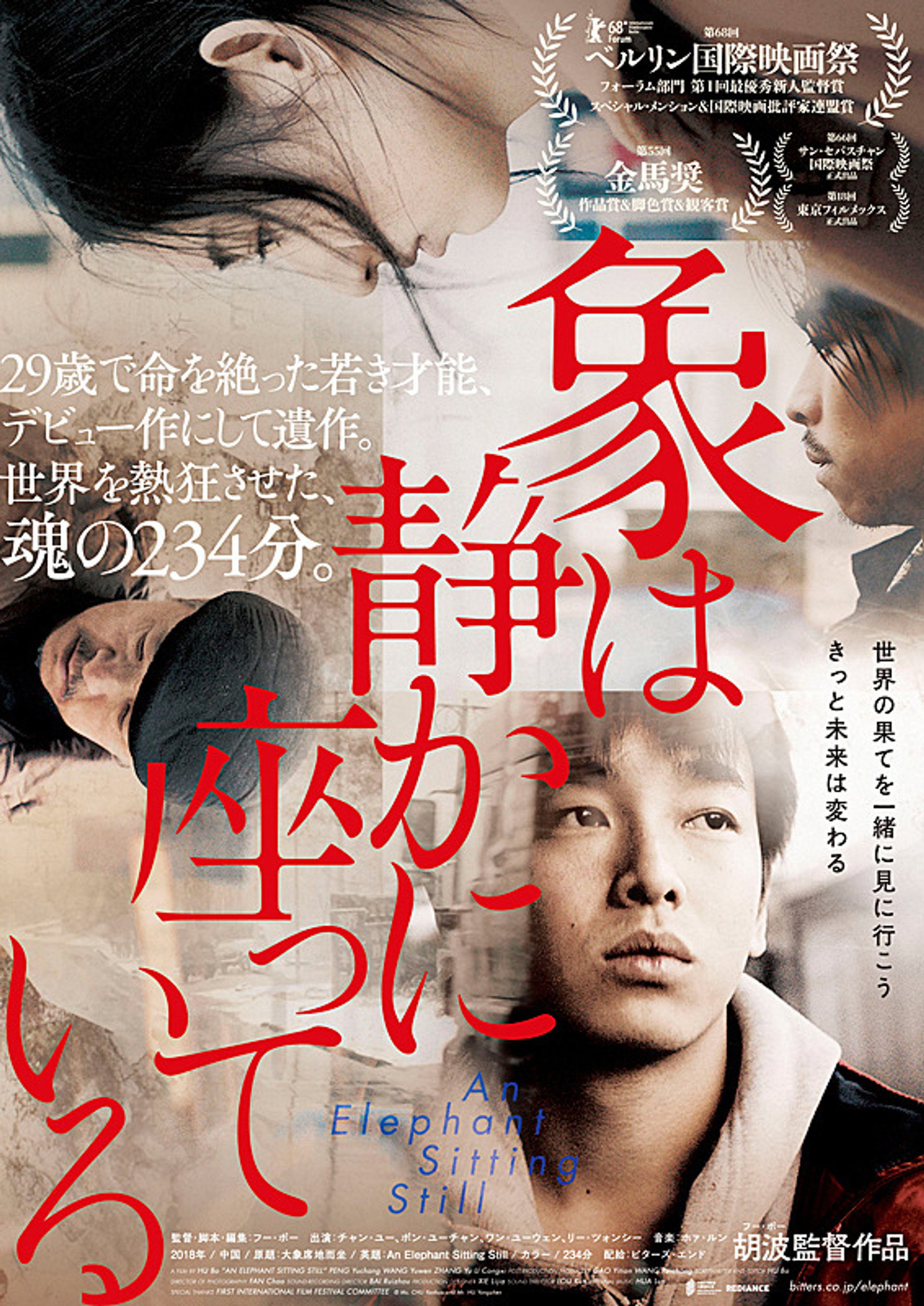 大象席地而坐