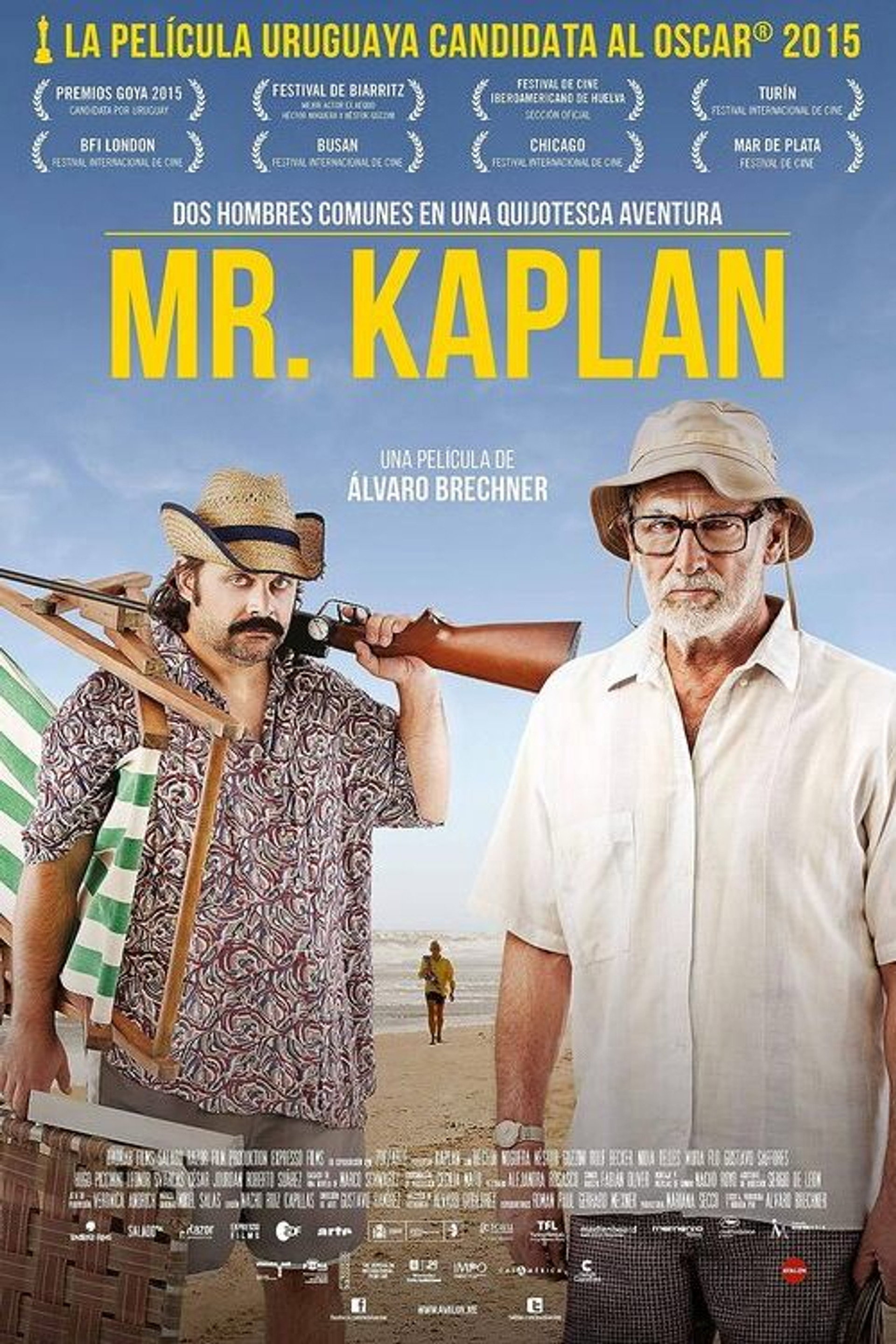 Mr Kaplan