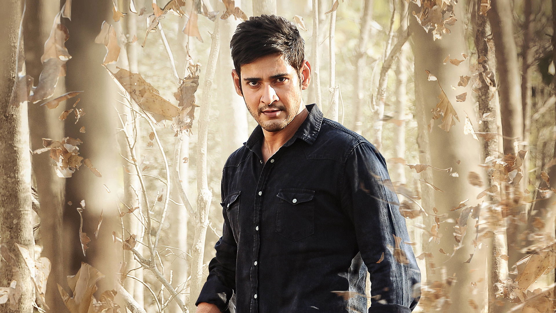 Srimanthudu