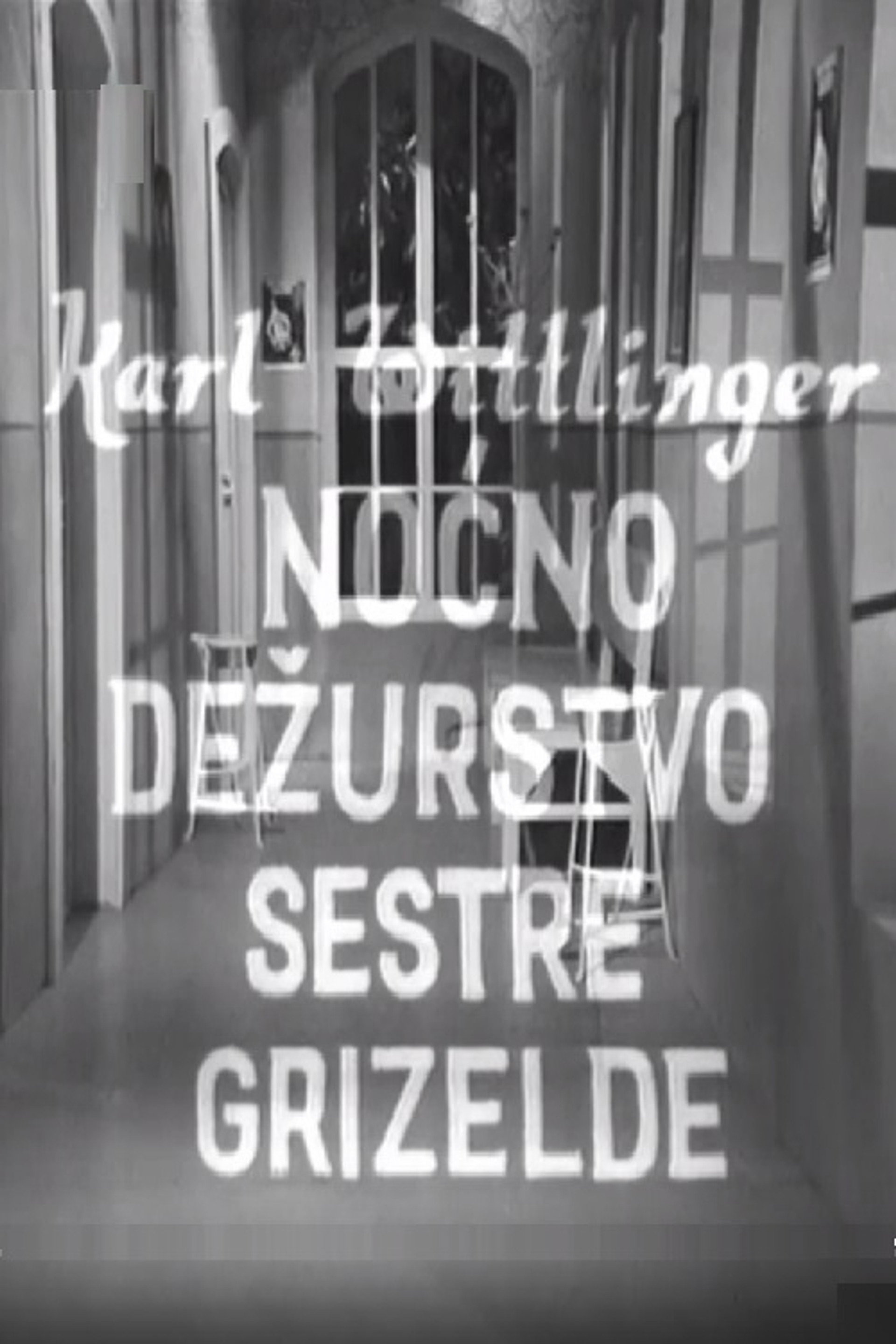 Noćno dežurstvo sestre Grizelde
