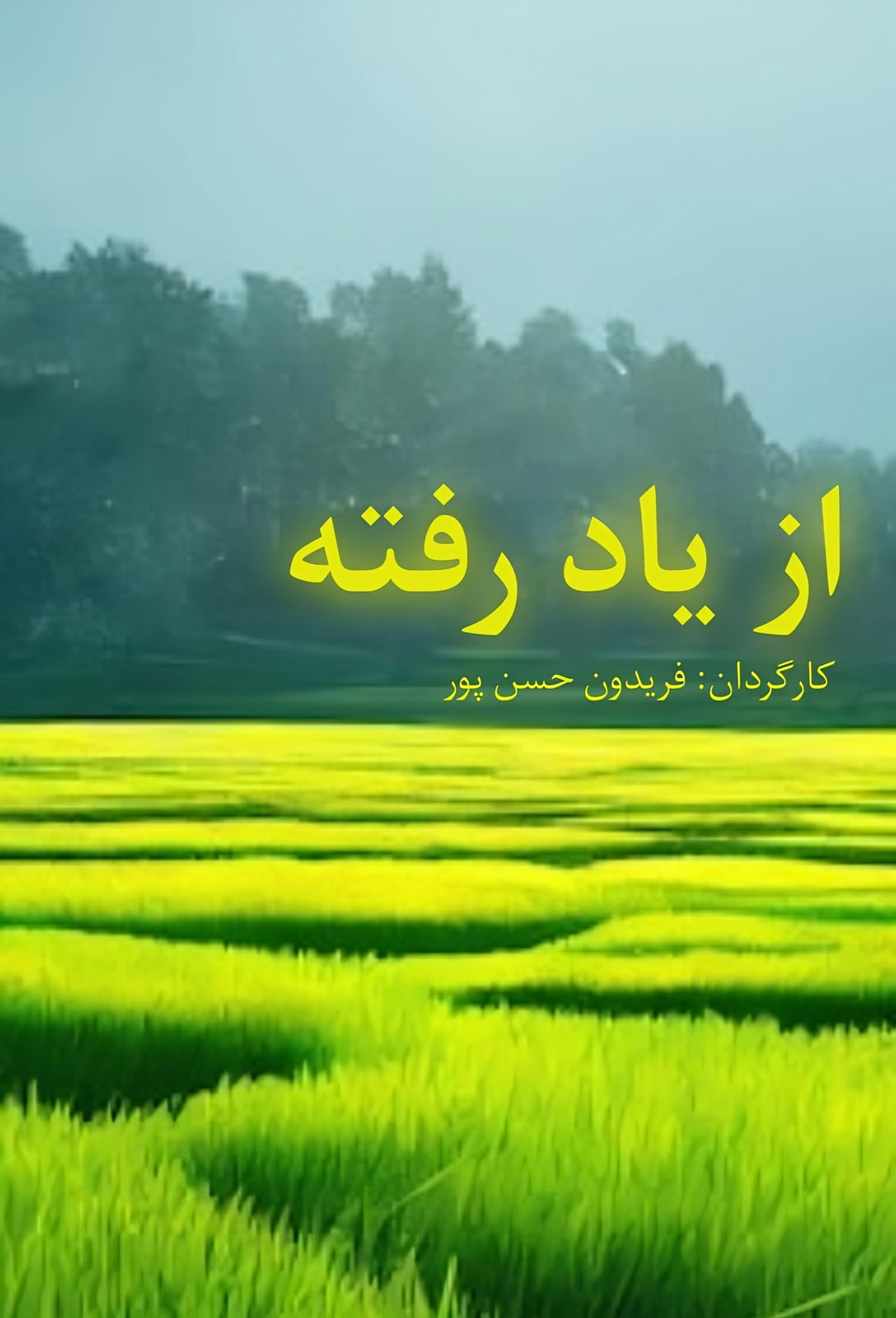 از یاد رفته