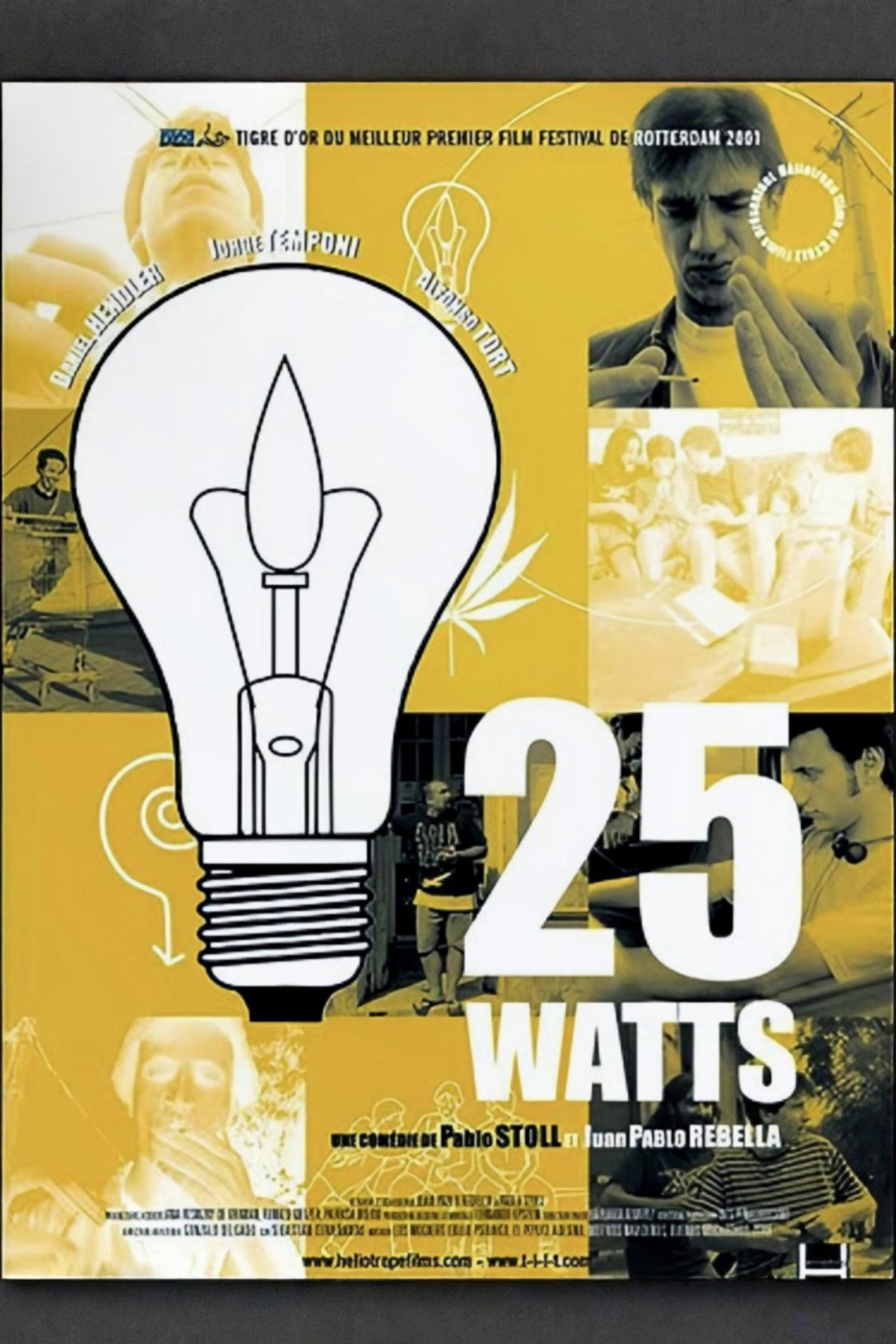 25 Watts