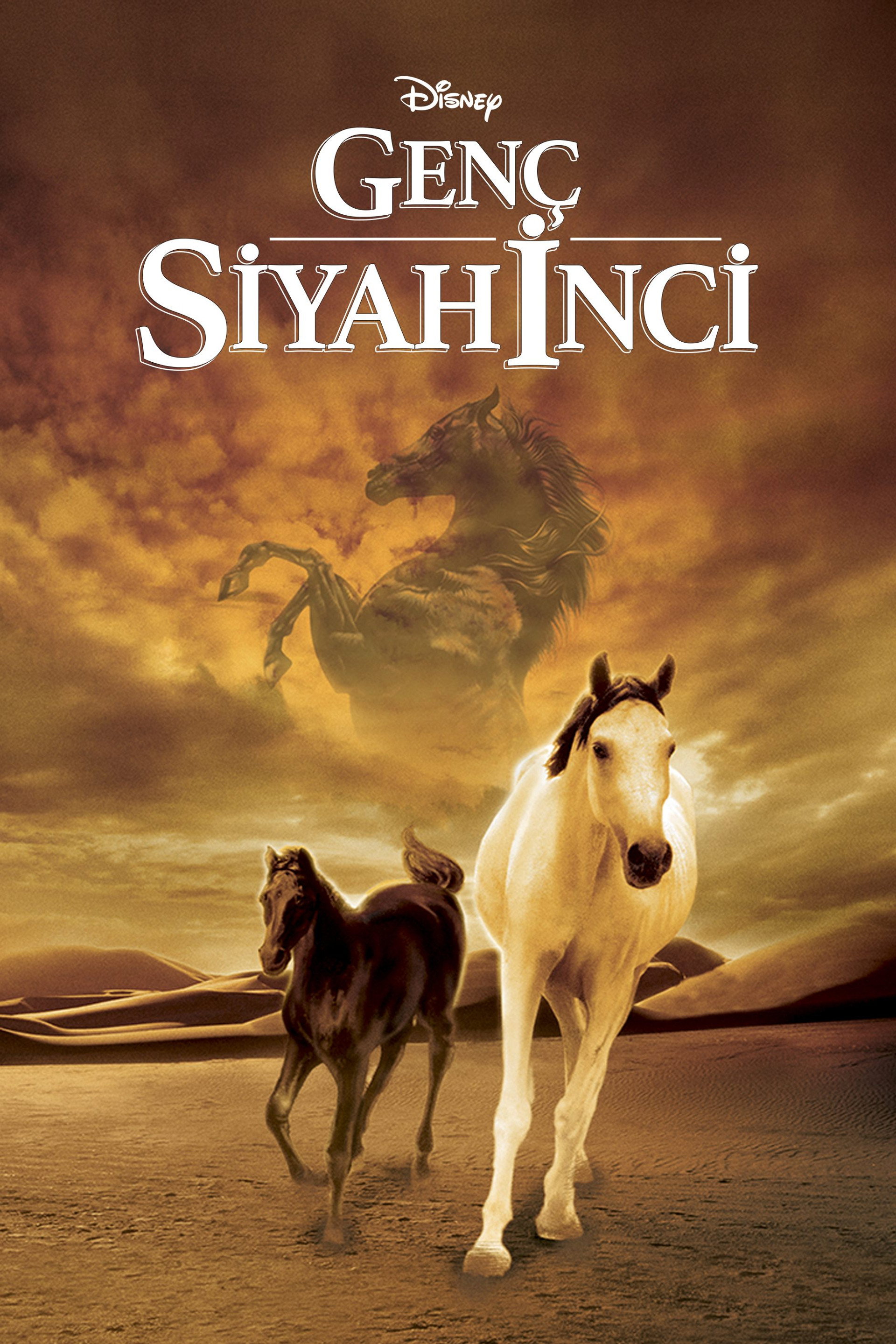 Genç Siyah inci