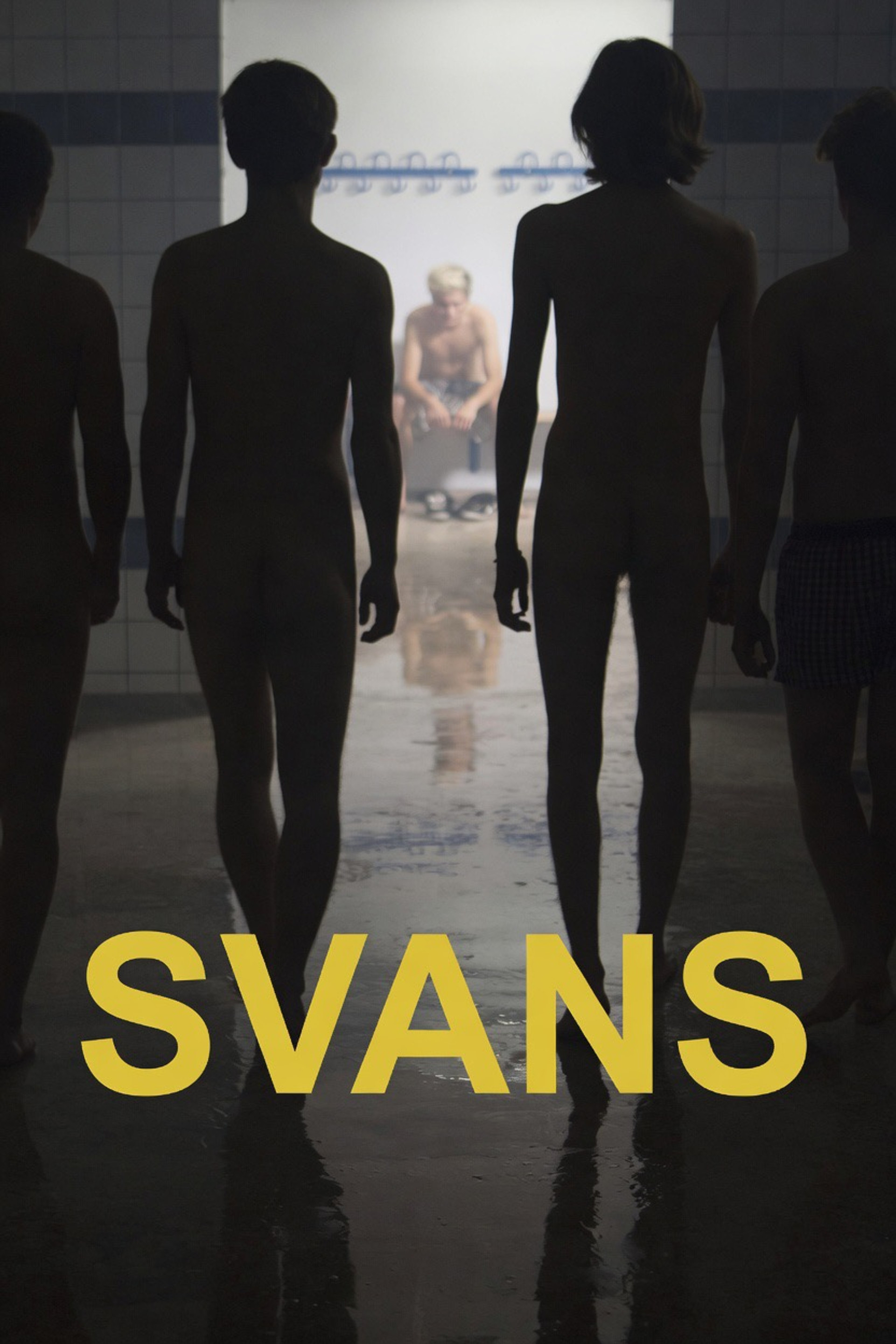 Swans