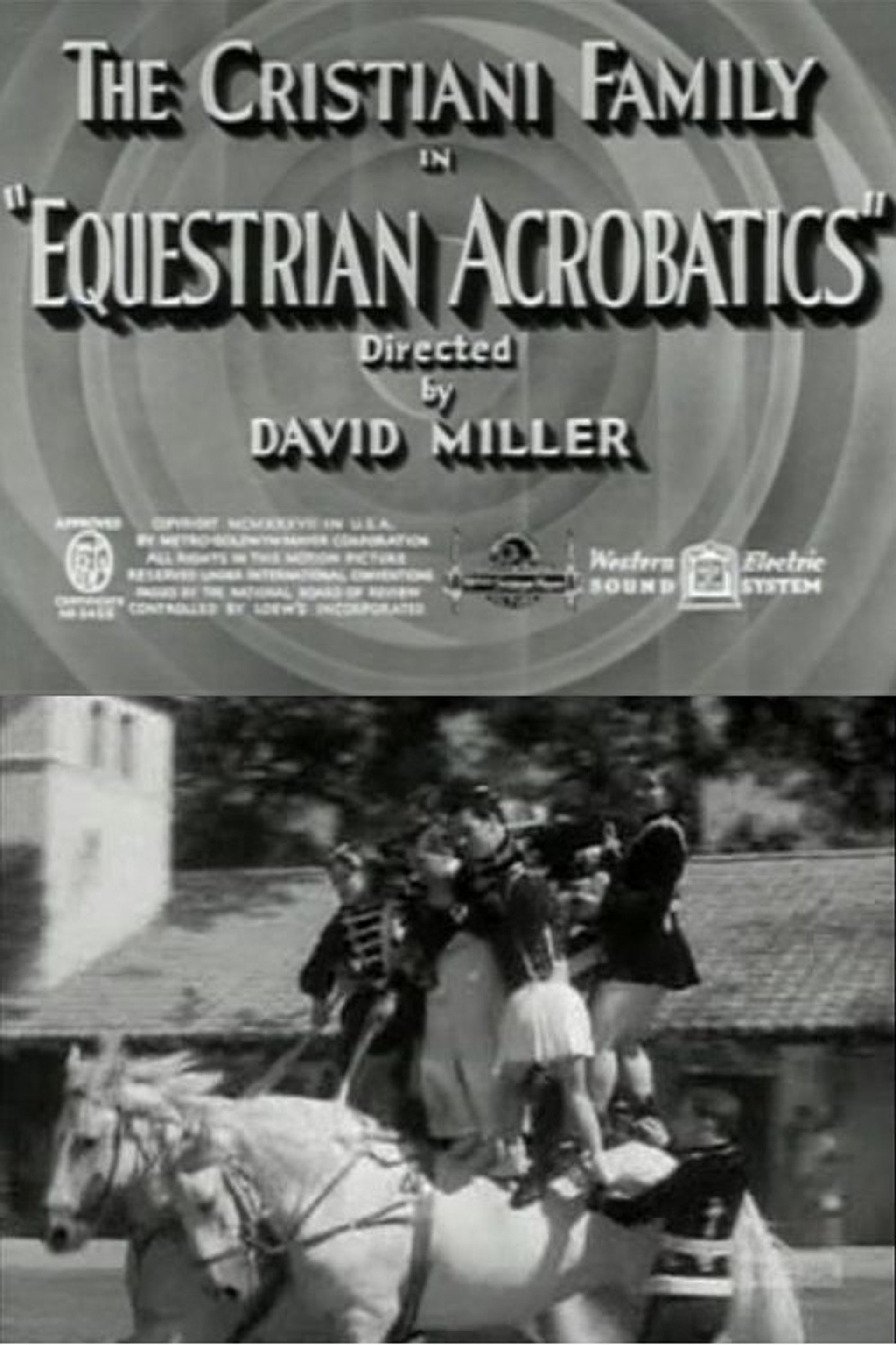 Equestrian Acrobats
