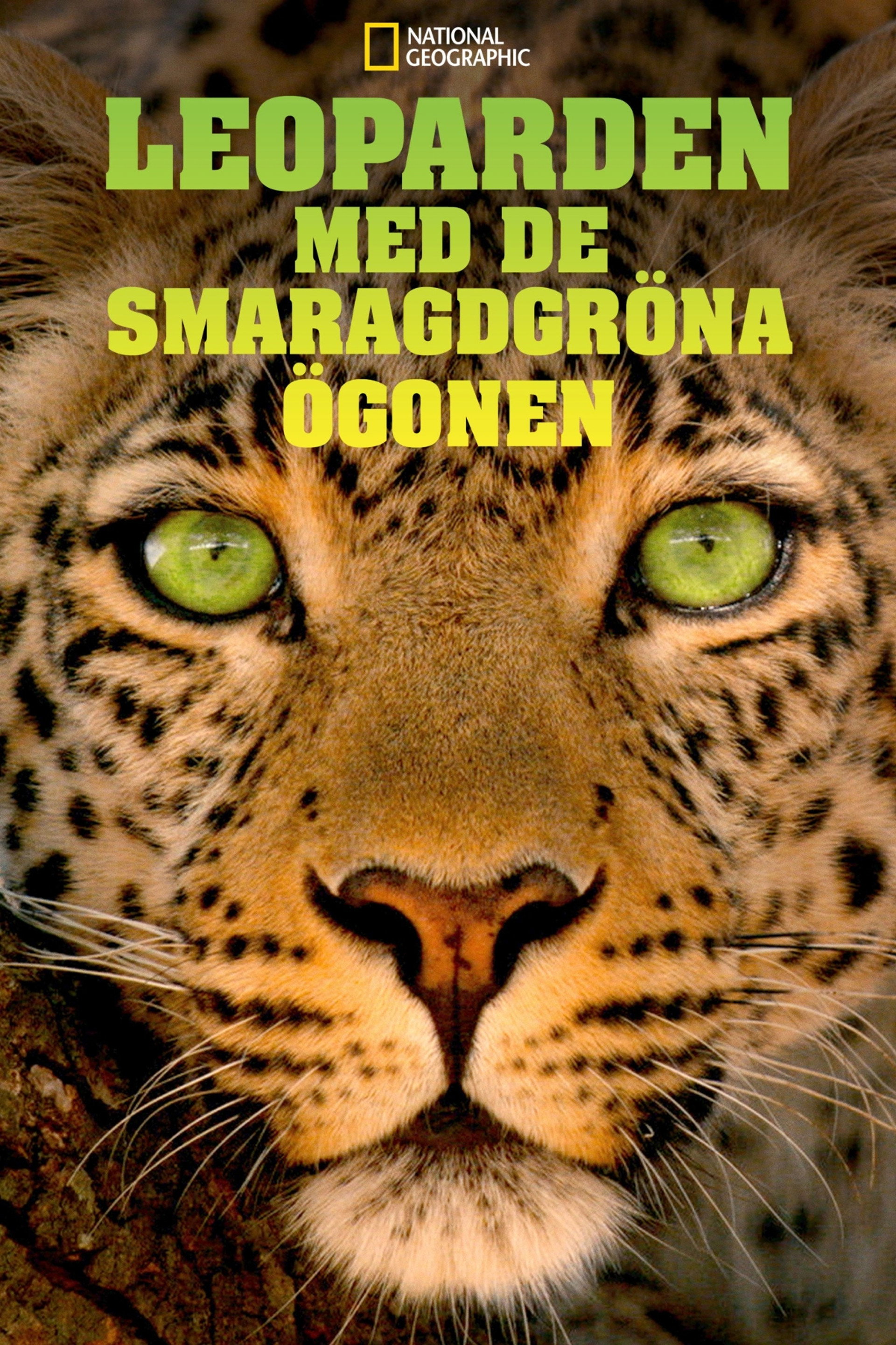 Jade Eyed Leopard