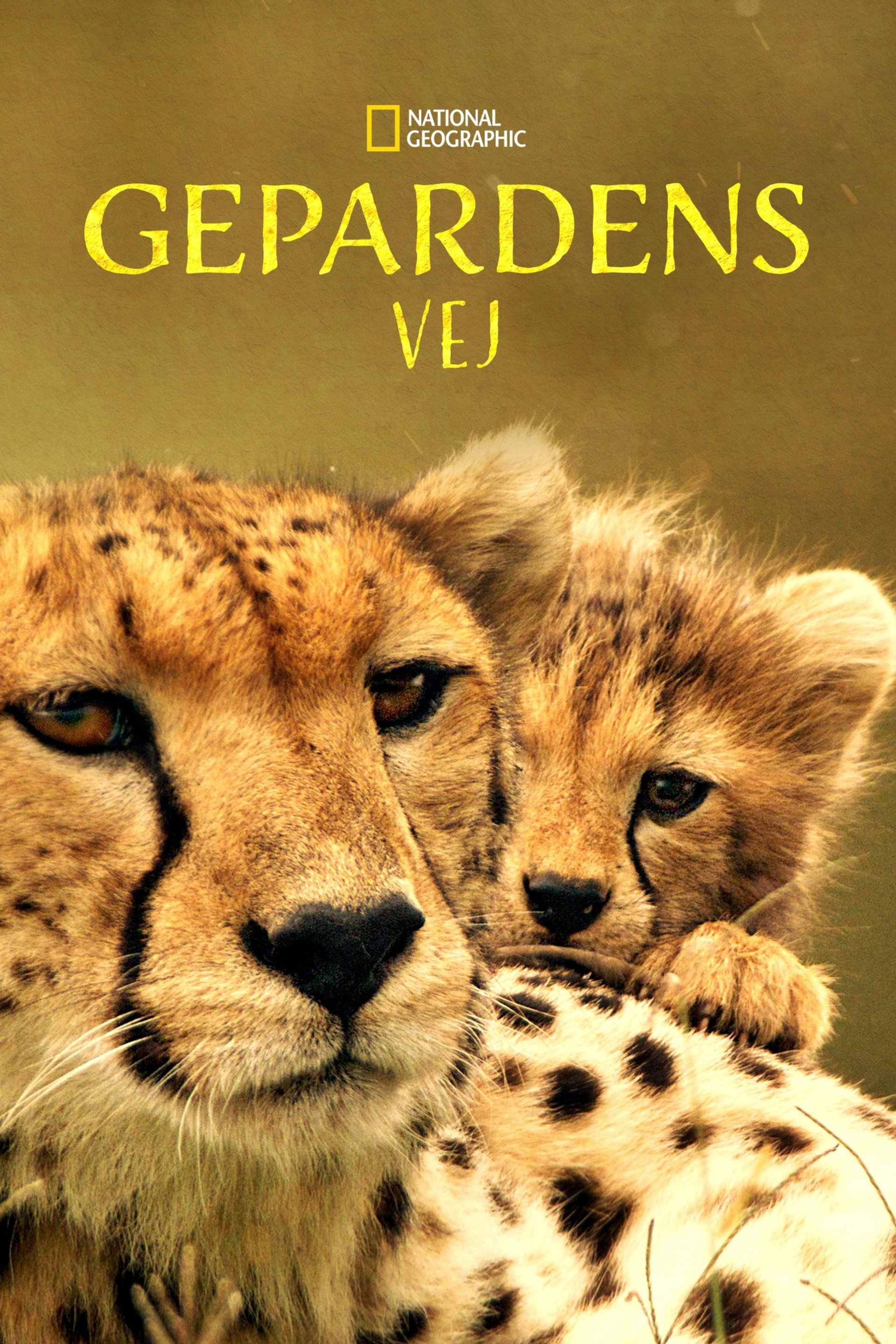 Gepardens vej