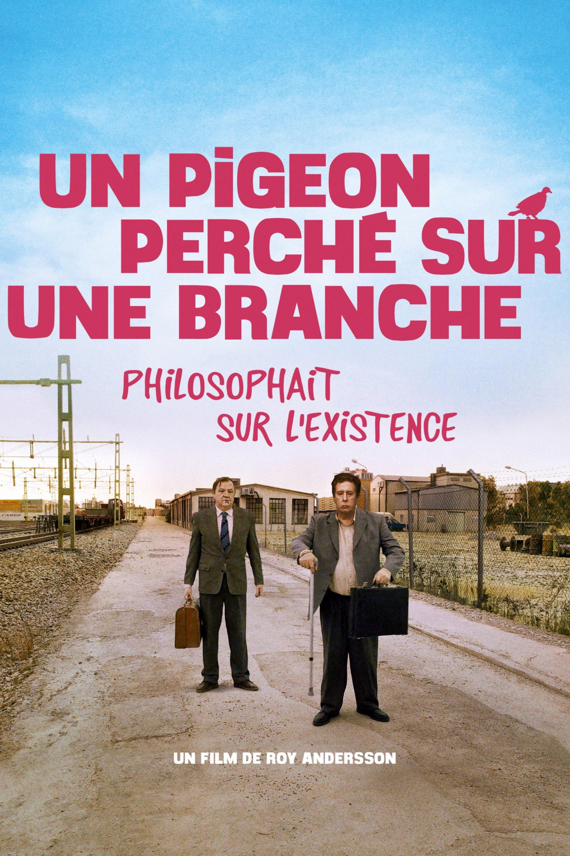 Un pigeon perché sur une branche philosophait sur l’existence