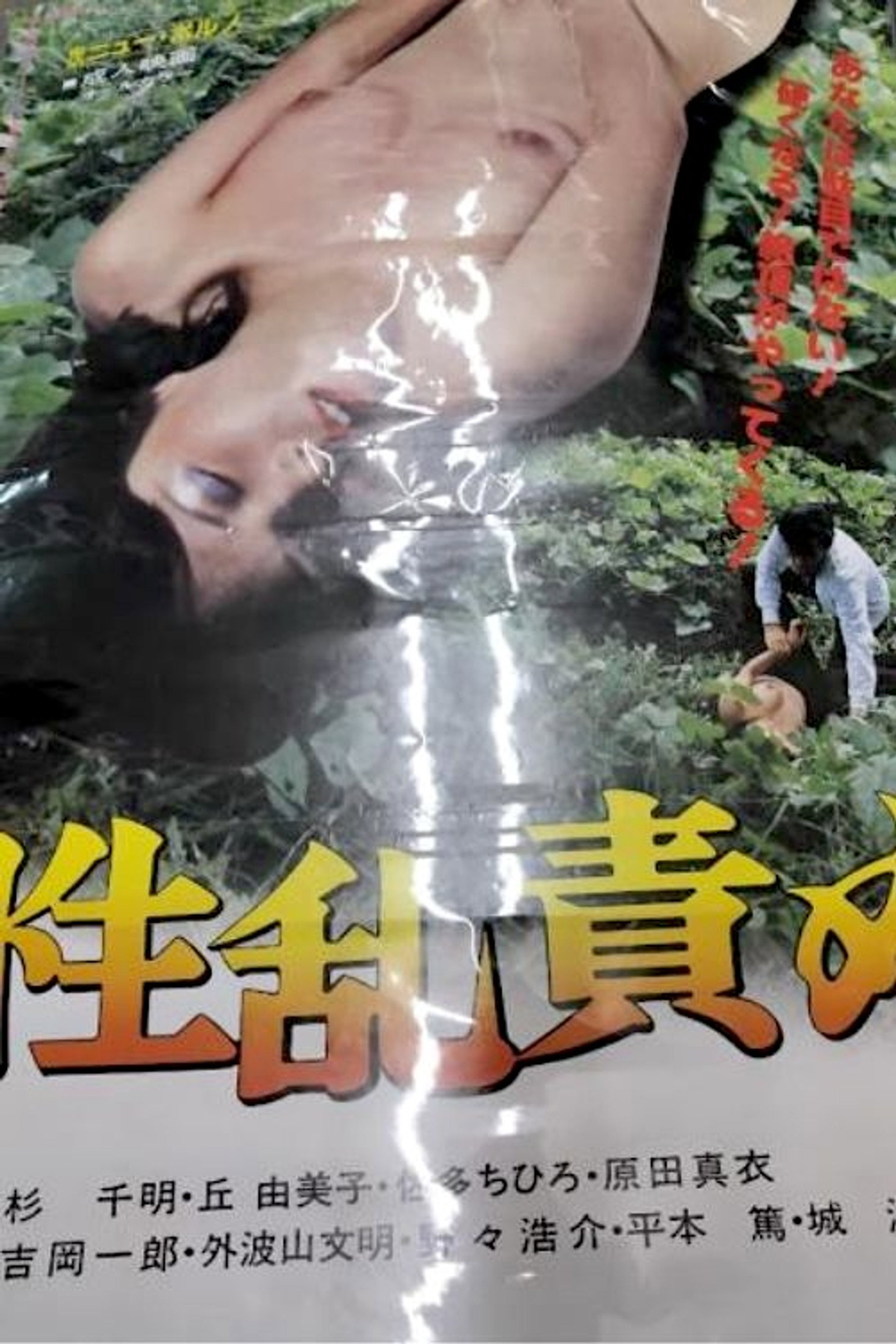 性乱責め