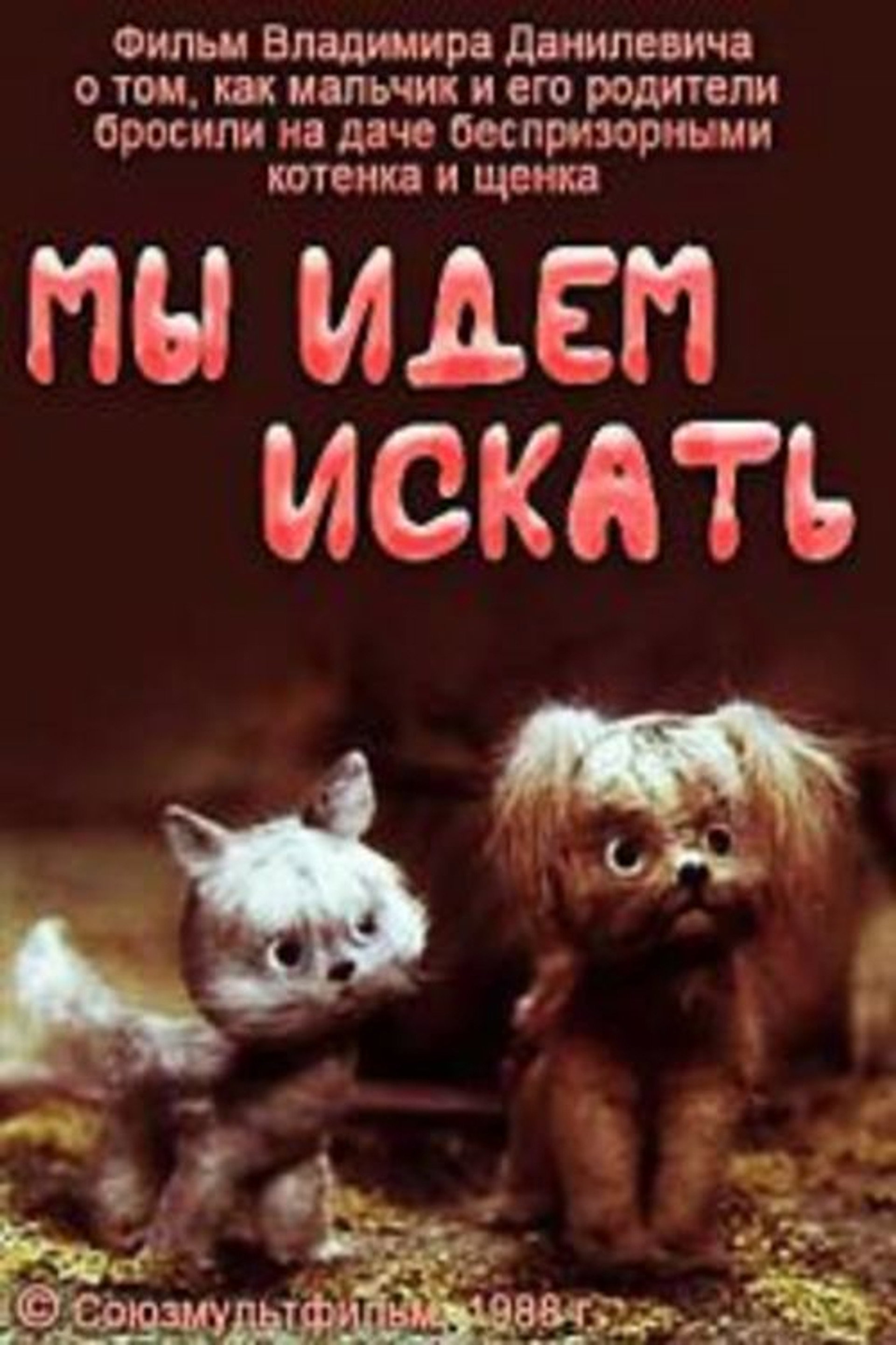 Мы идём искать