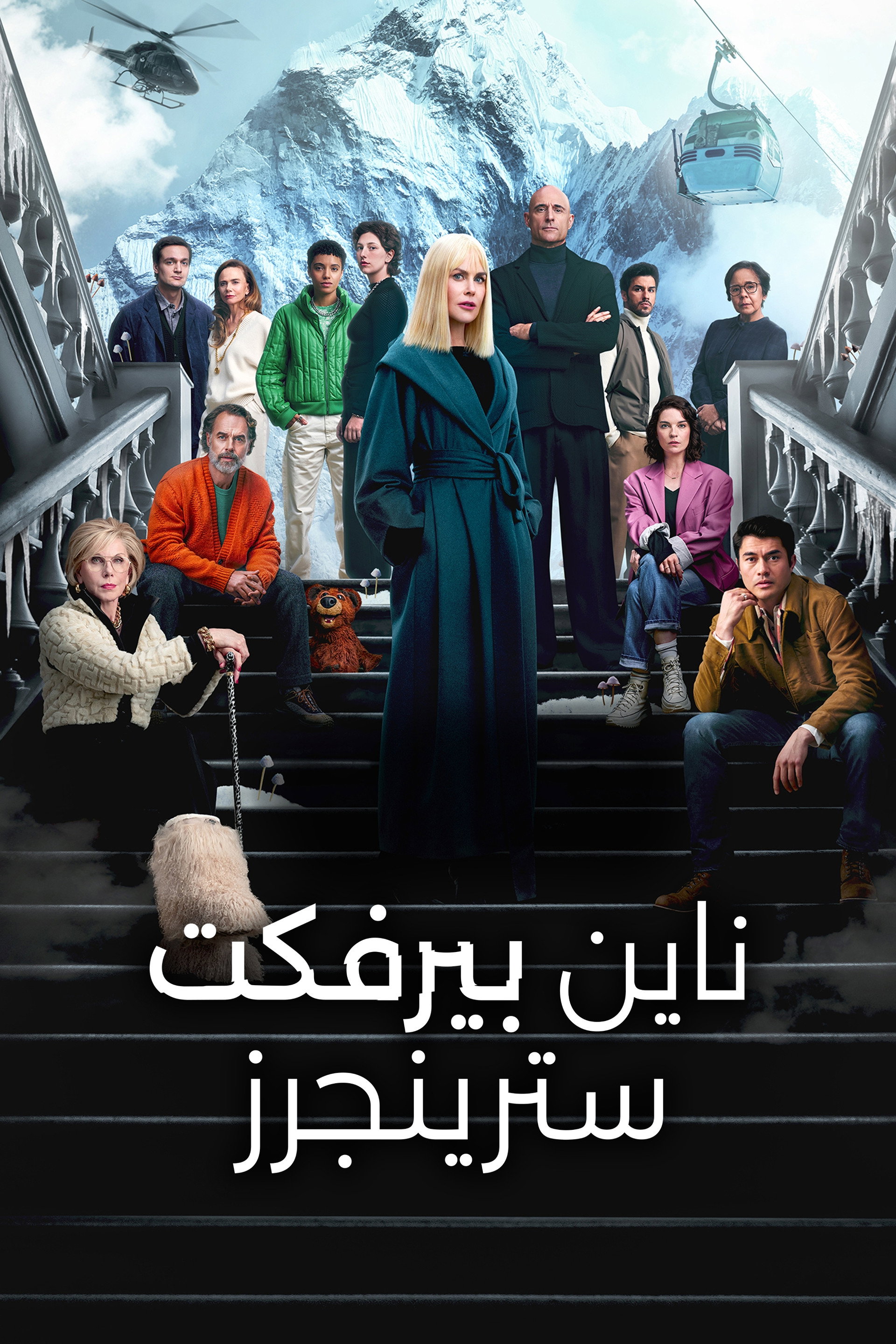Nine Perfect Strangers