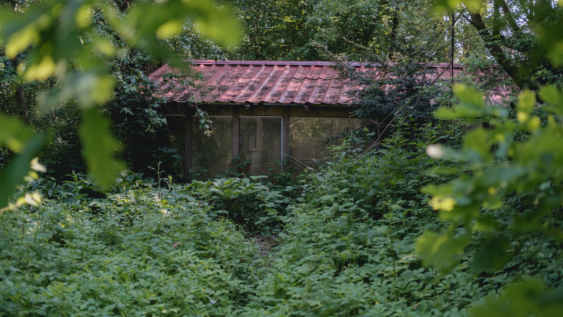 Behind The Garden Gate