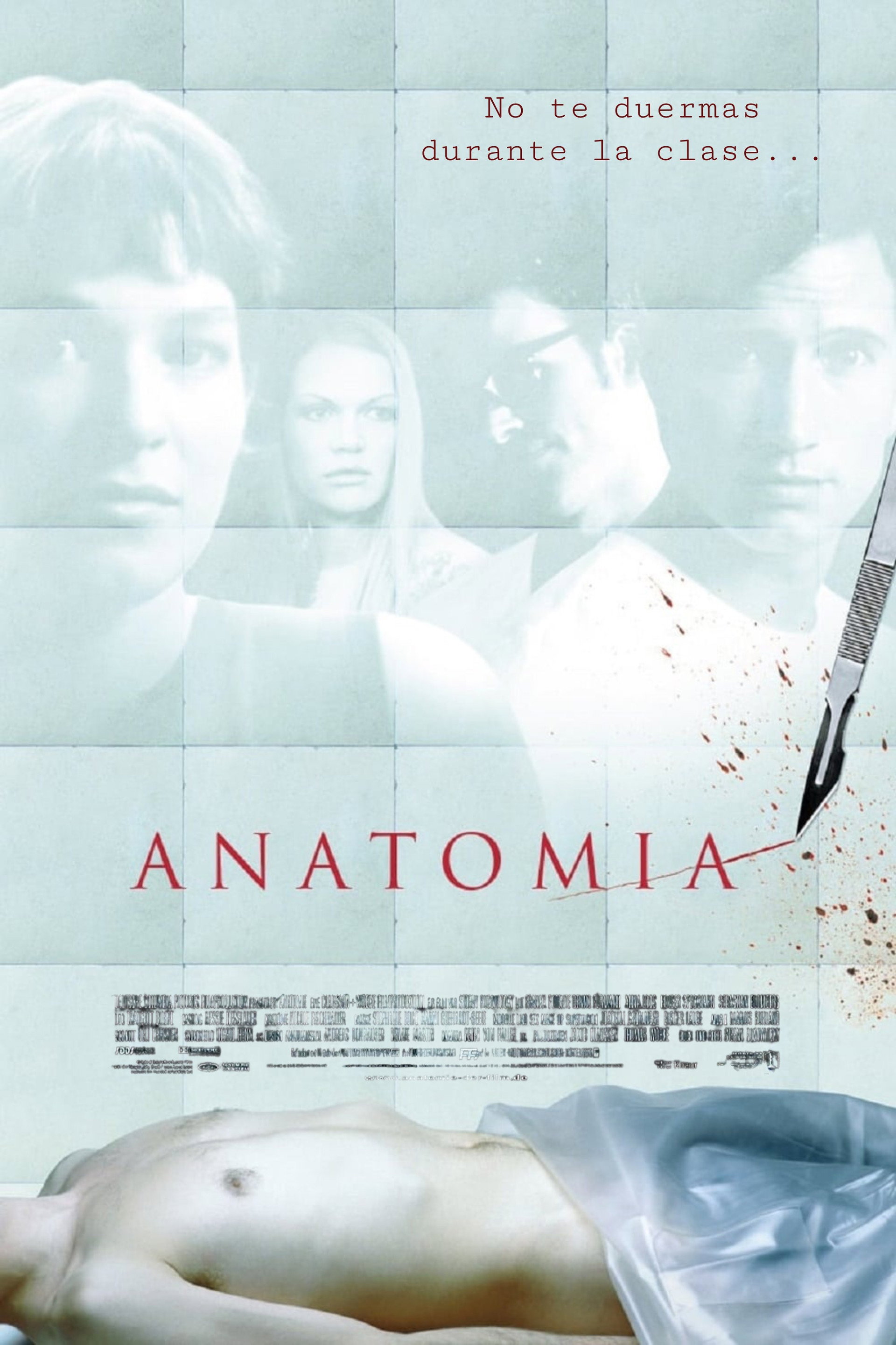 Anatomía