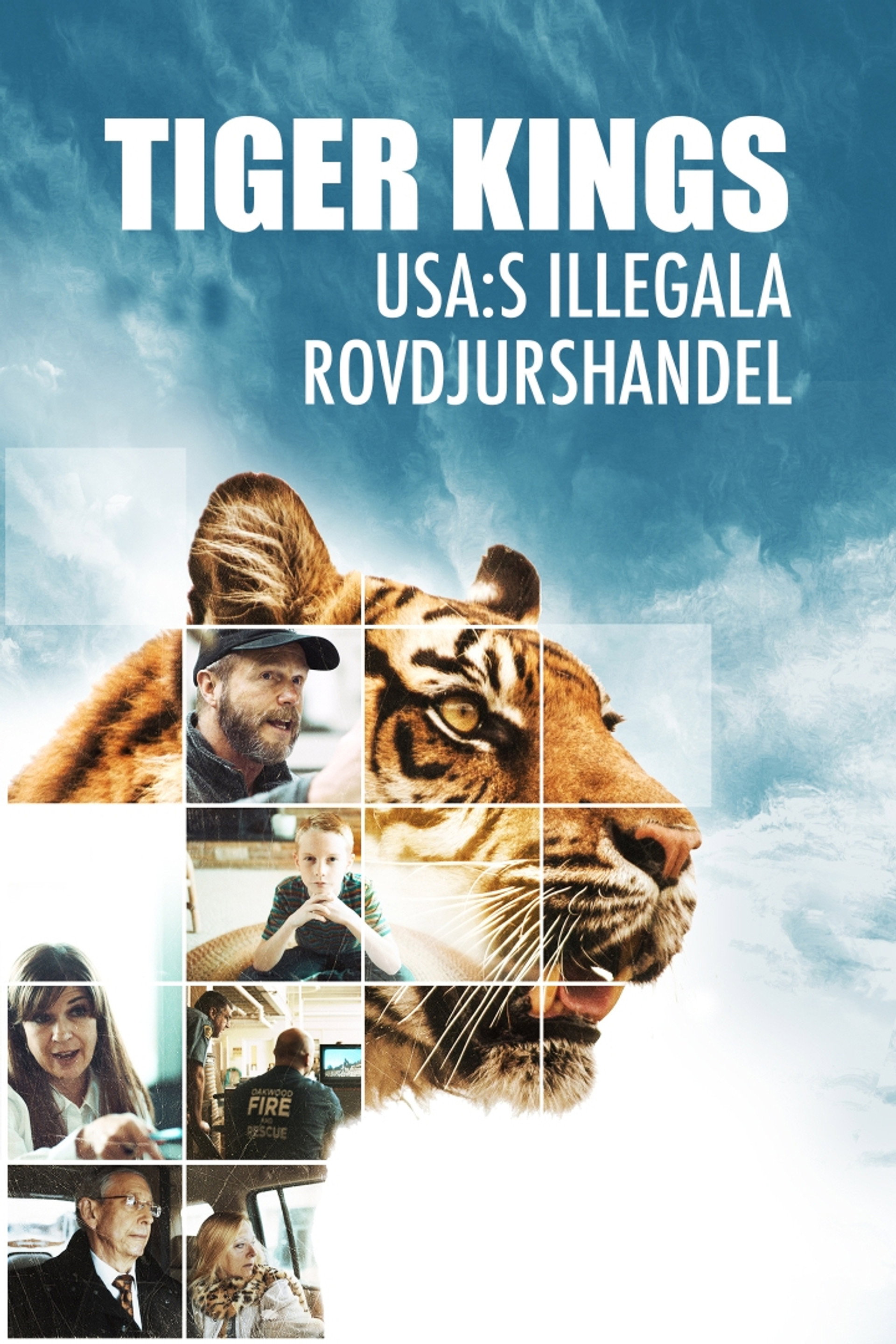 Tiger kings: USA:s illegala rovdjurshandel