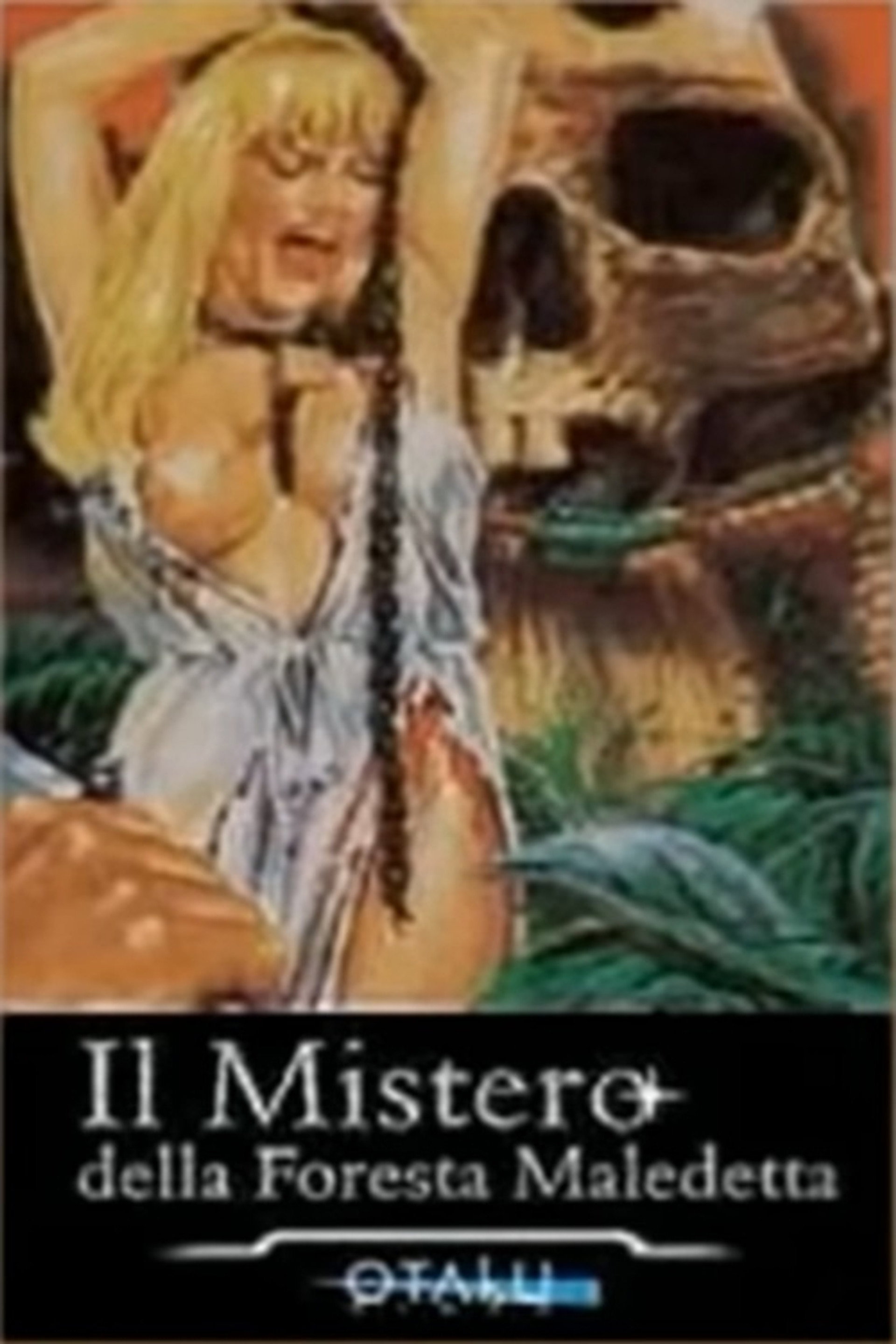 Il Mistero della Foresta Maledetta