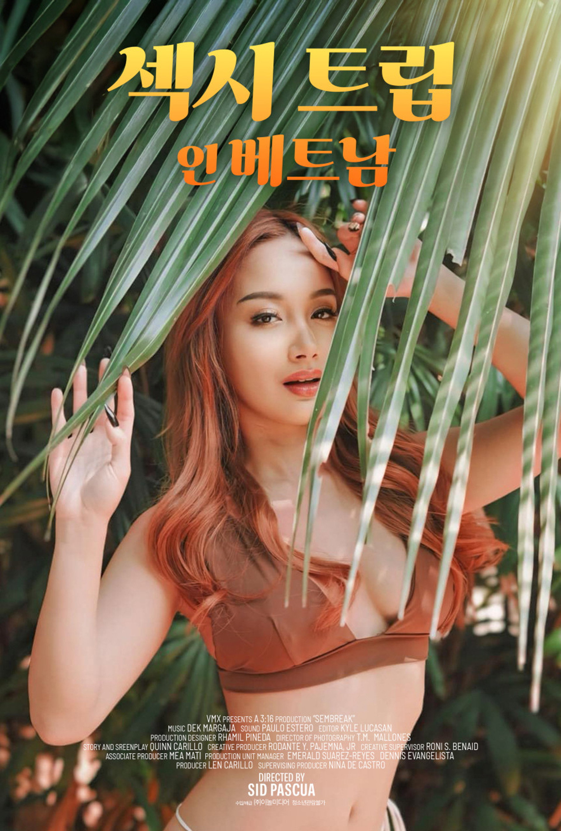 섹시 트립 인 베트남