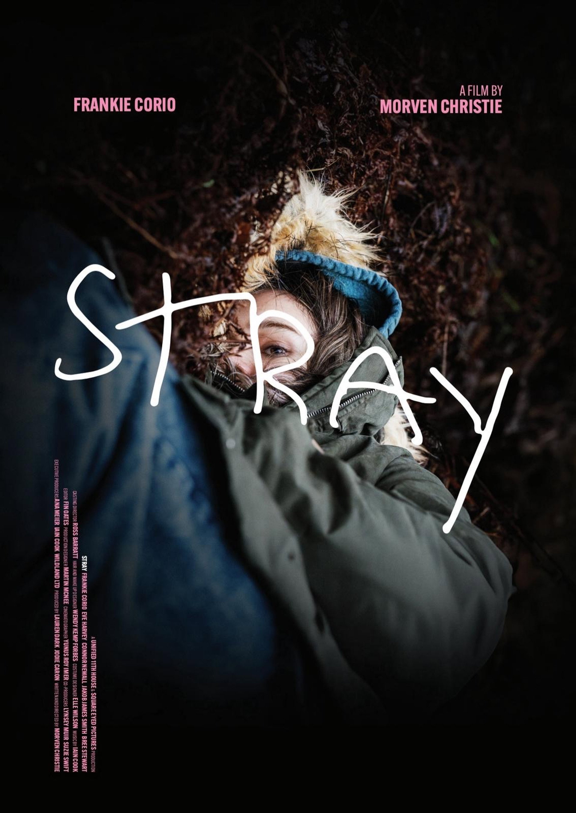 Stray