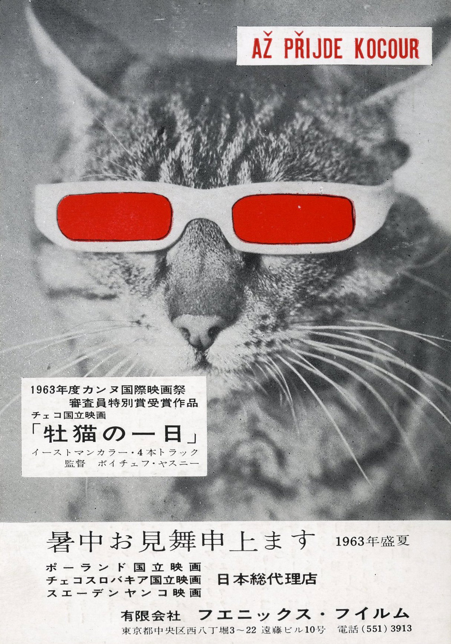 猫に裁かれる人たち