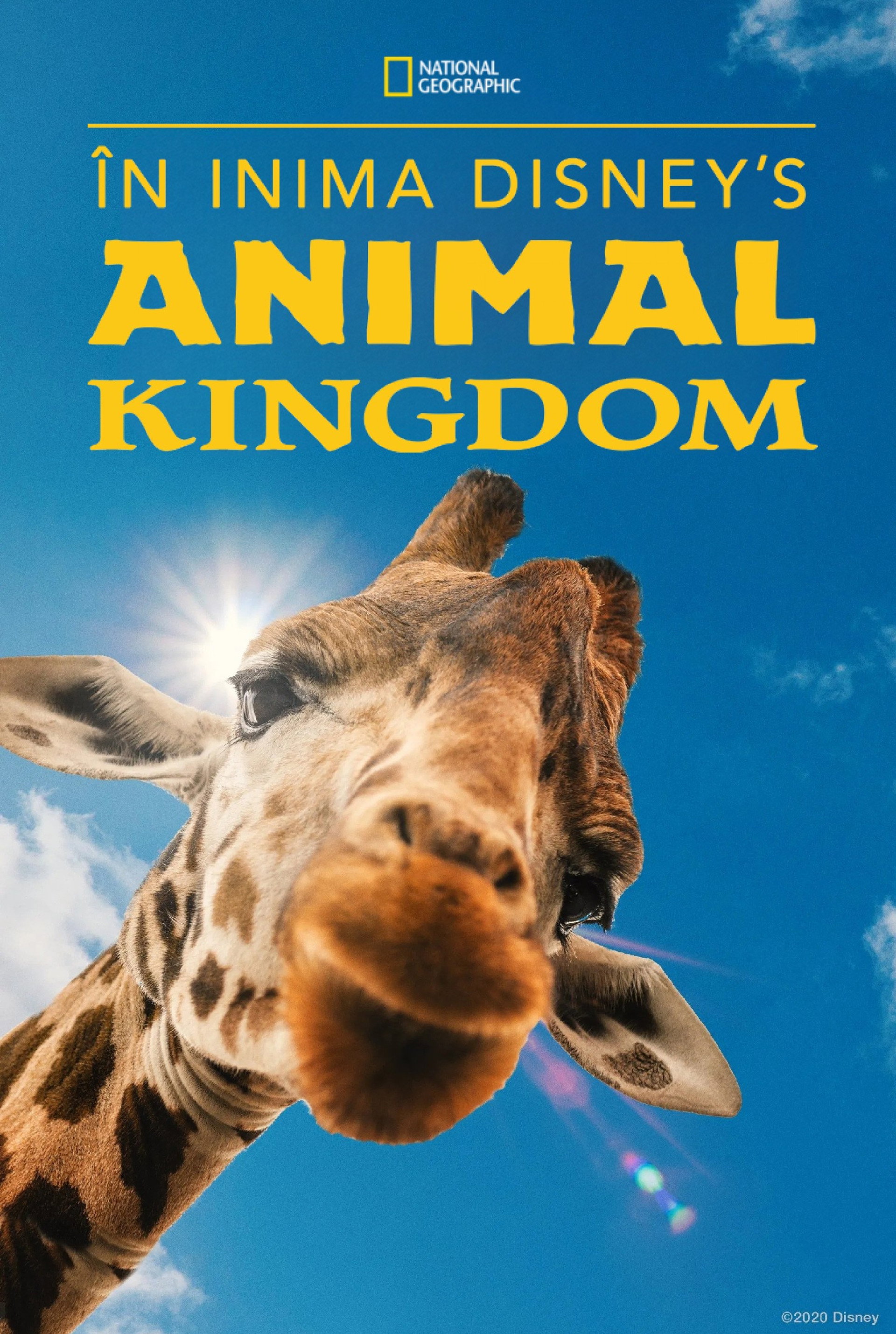 Magic of Disney's Animal Kingdom