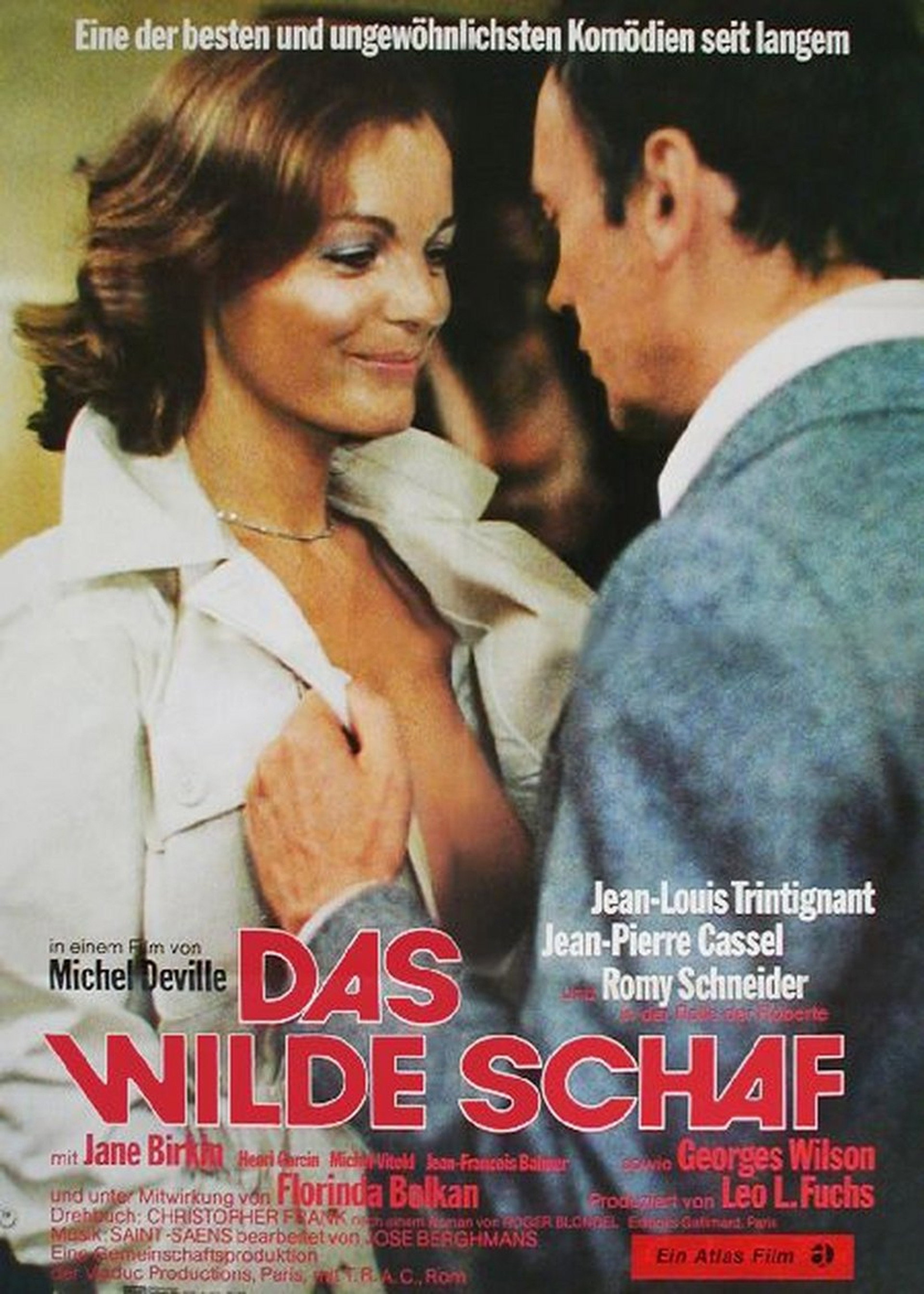 Das wilde Schaf