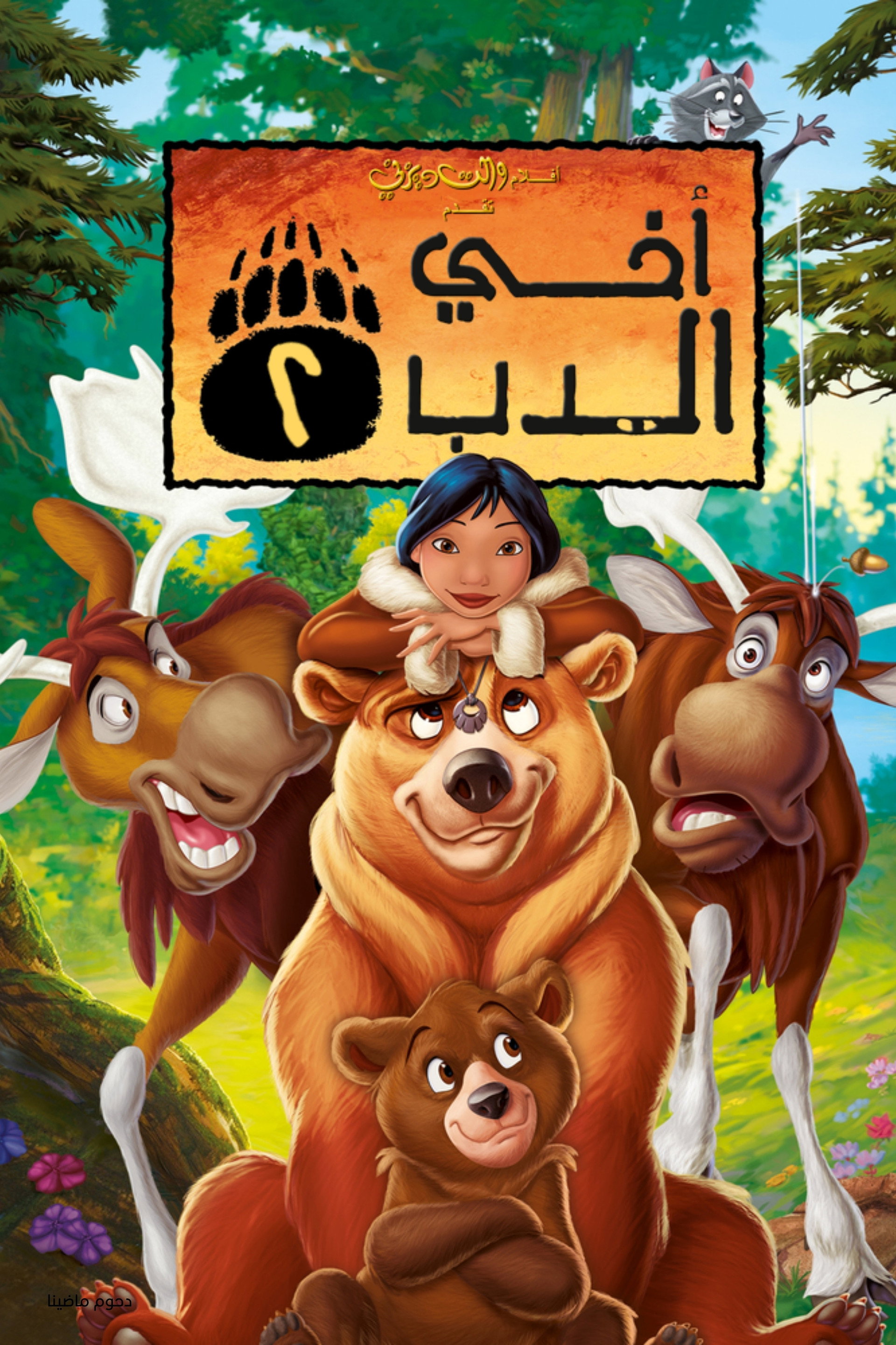 أخي الدب 2