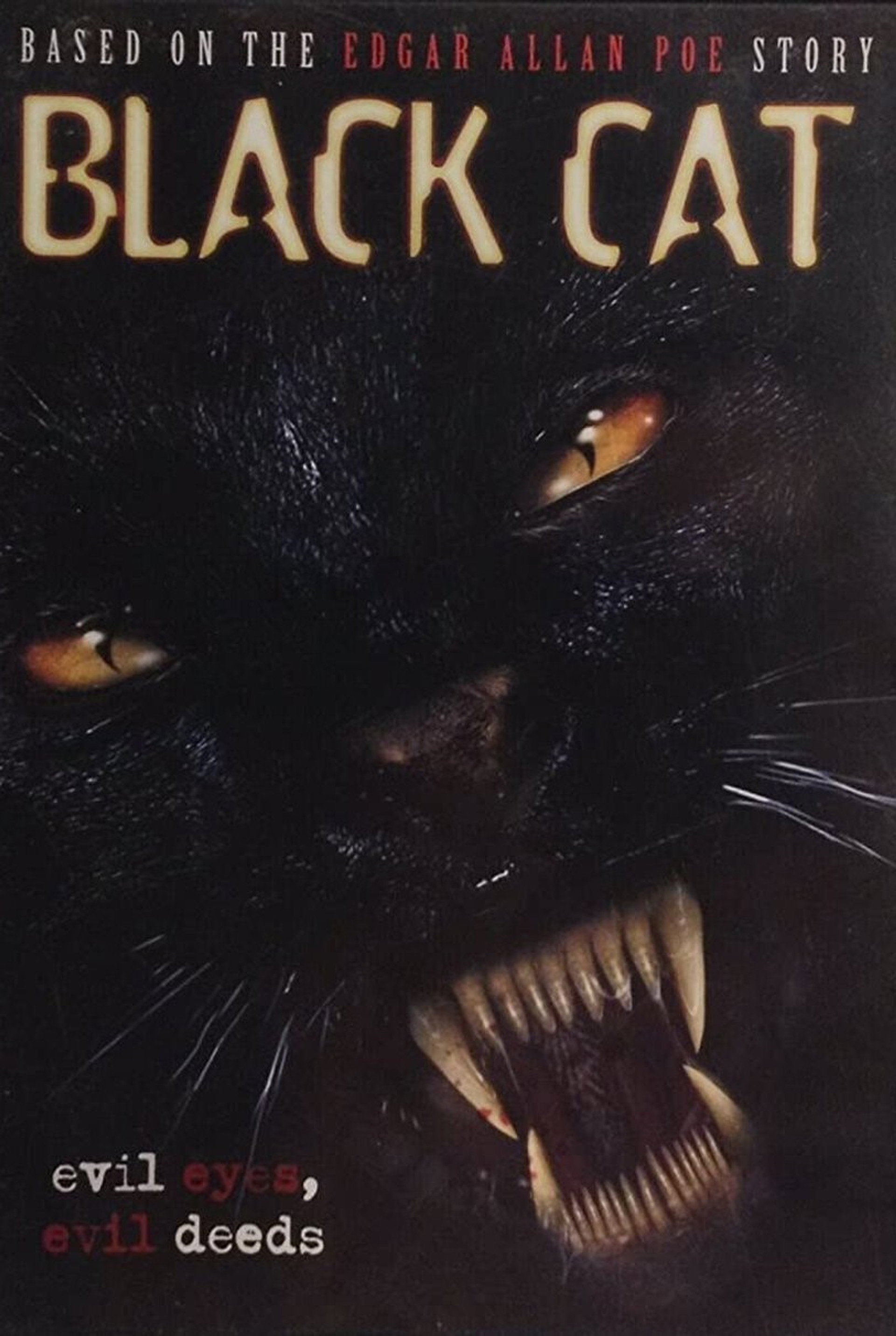Black Cat: Böse Augen - Blutige Morde