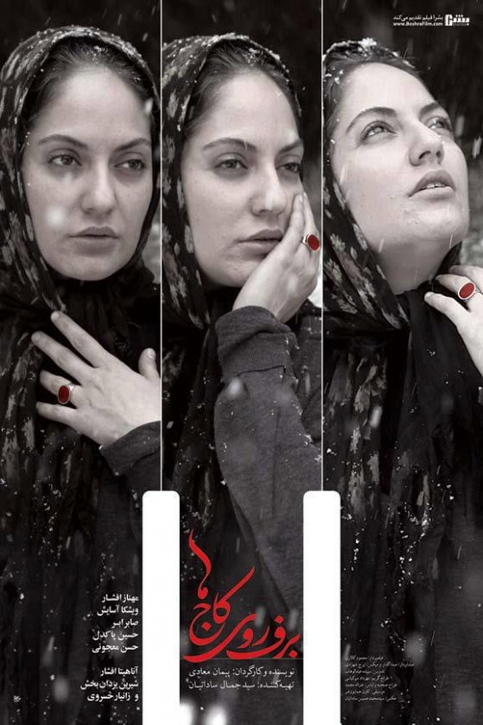 برف روی کاجها