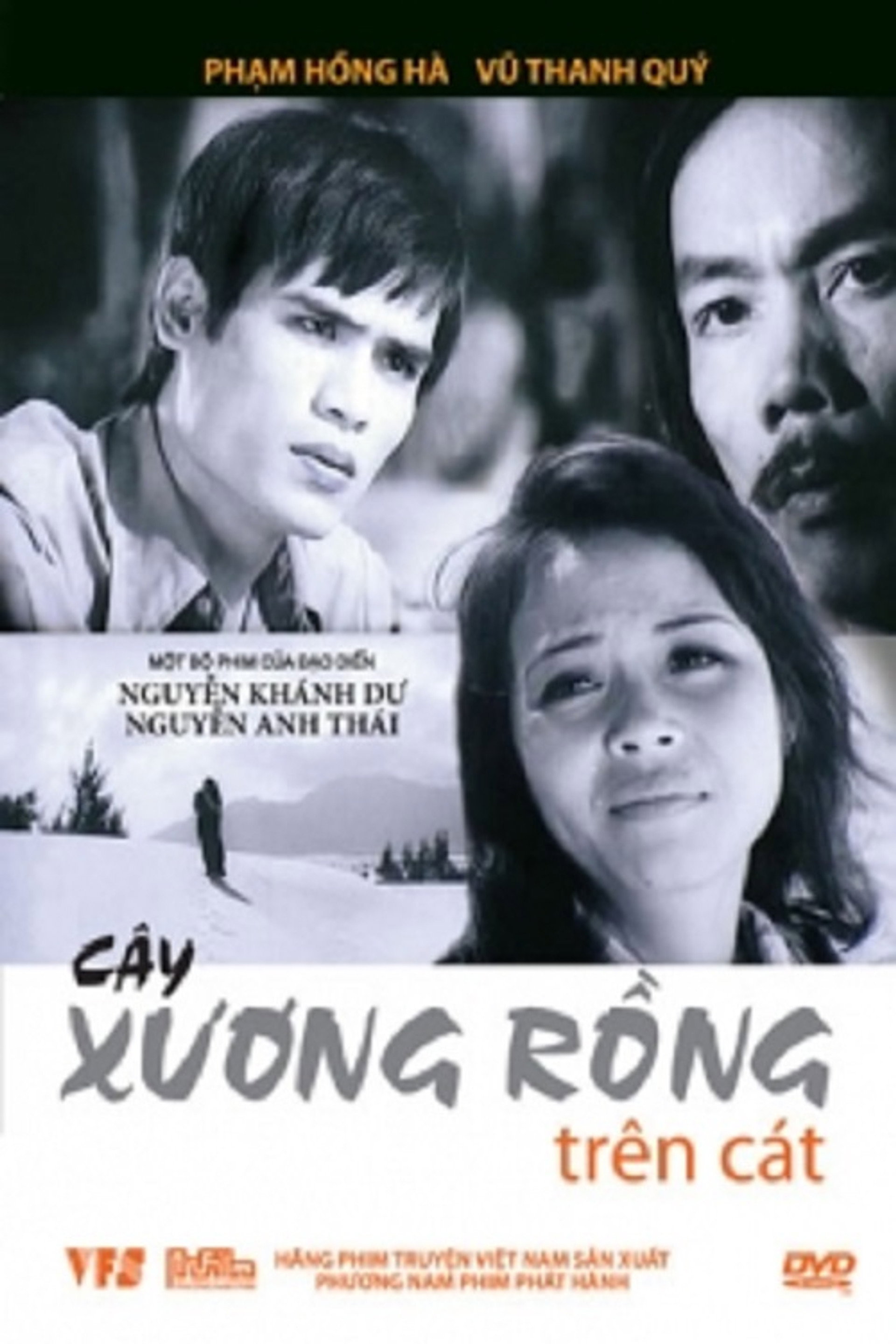 Cây Xương Rồng Trên Cát