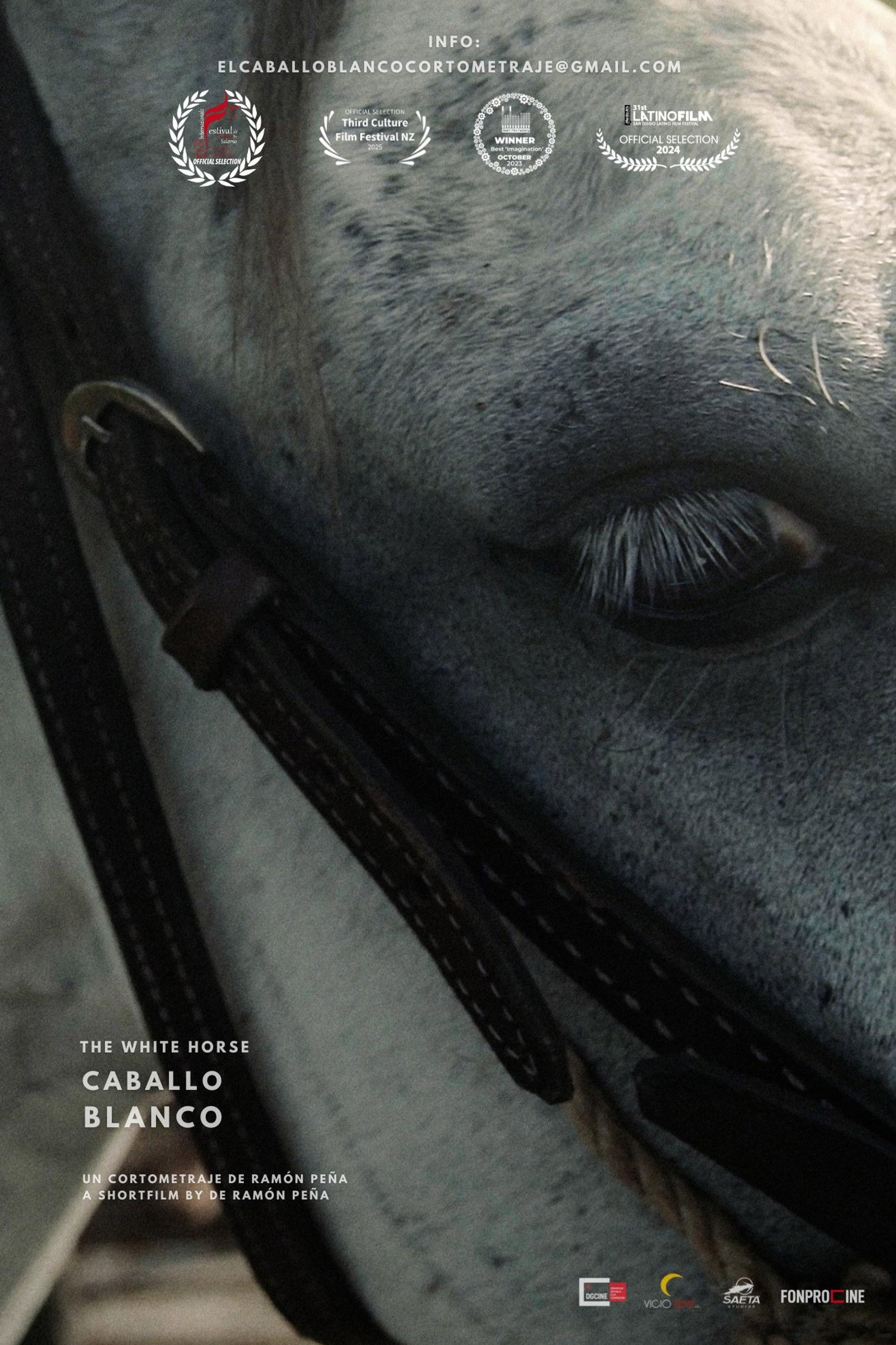 Caballo Blanco