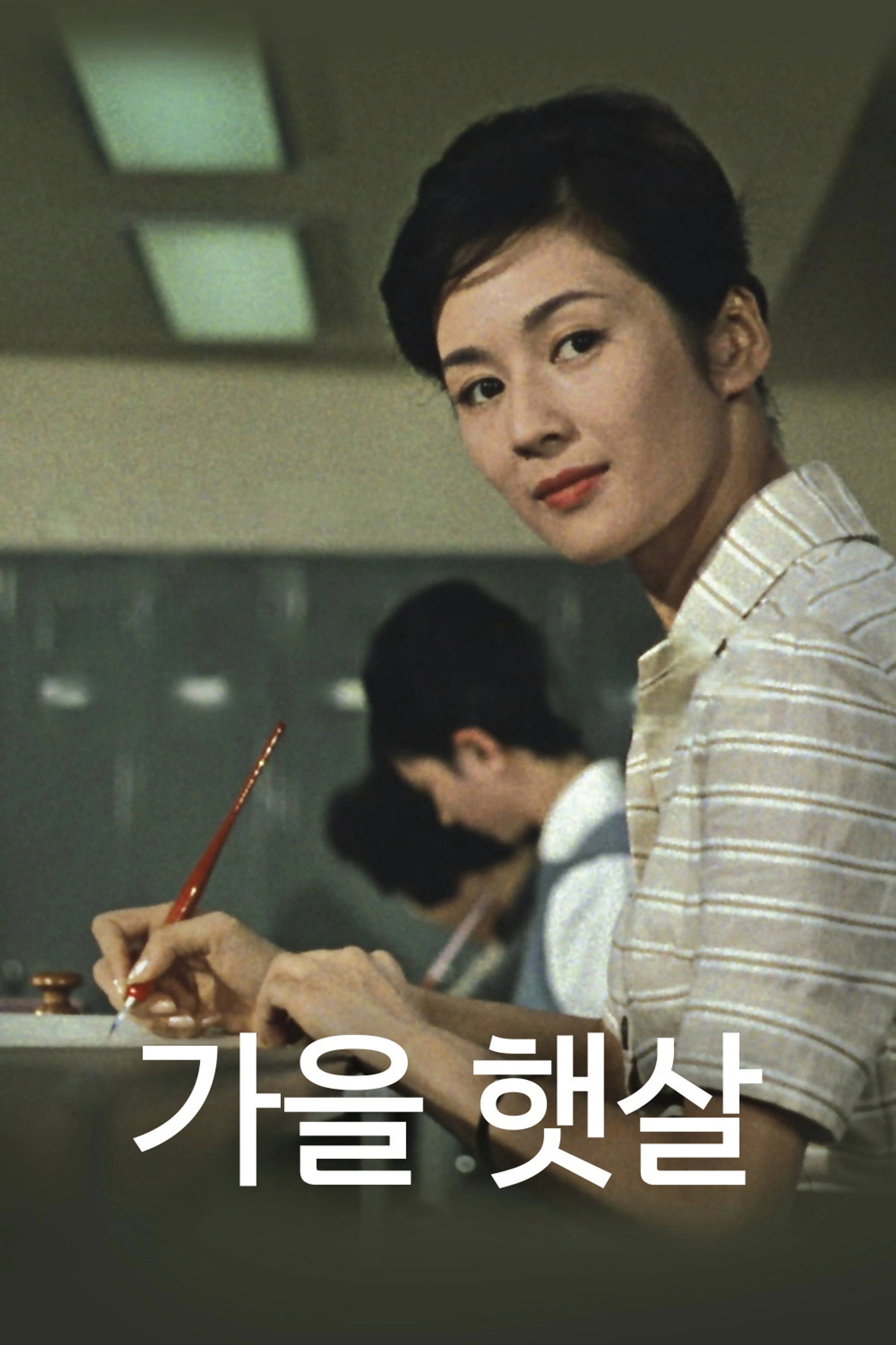 가을 햇살