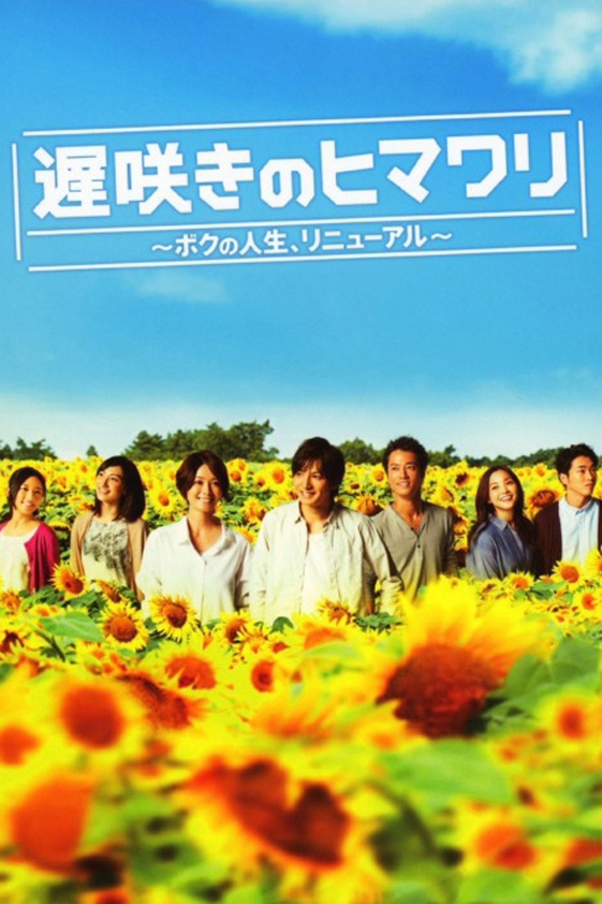 遅咲きのヒマワリ~ボクの人生、リニューアル~