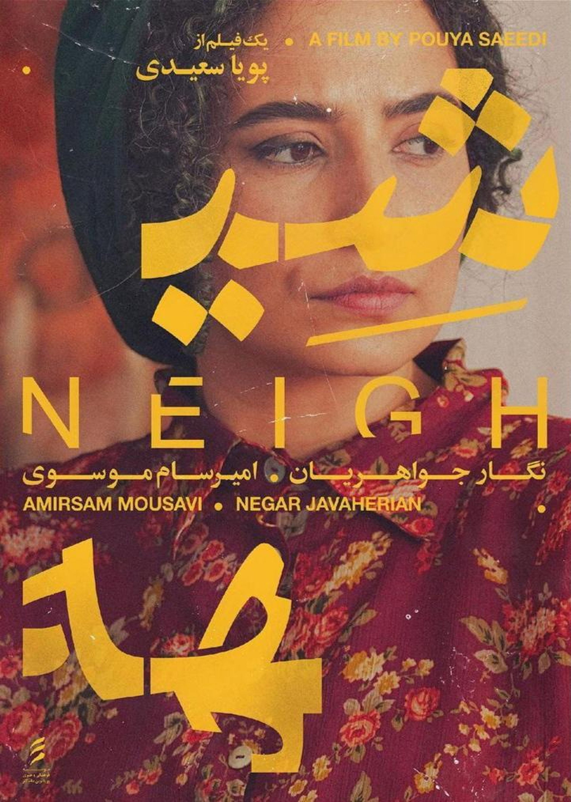 شیهه
