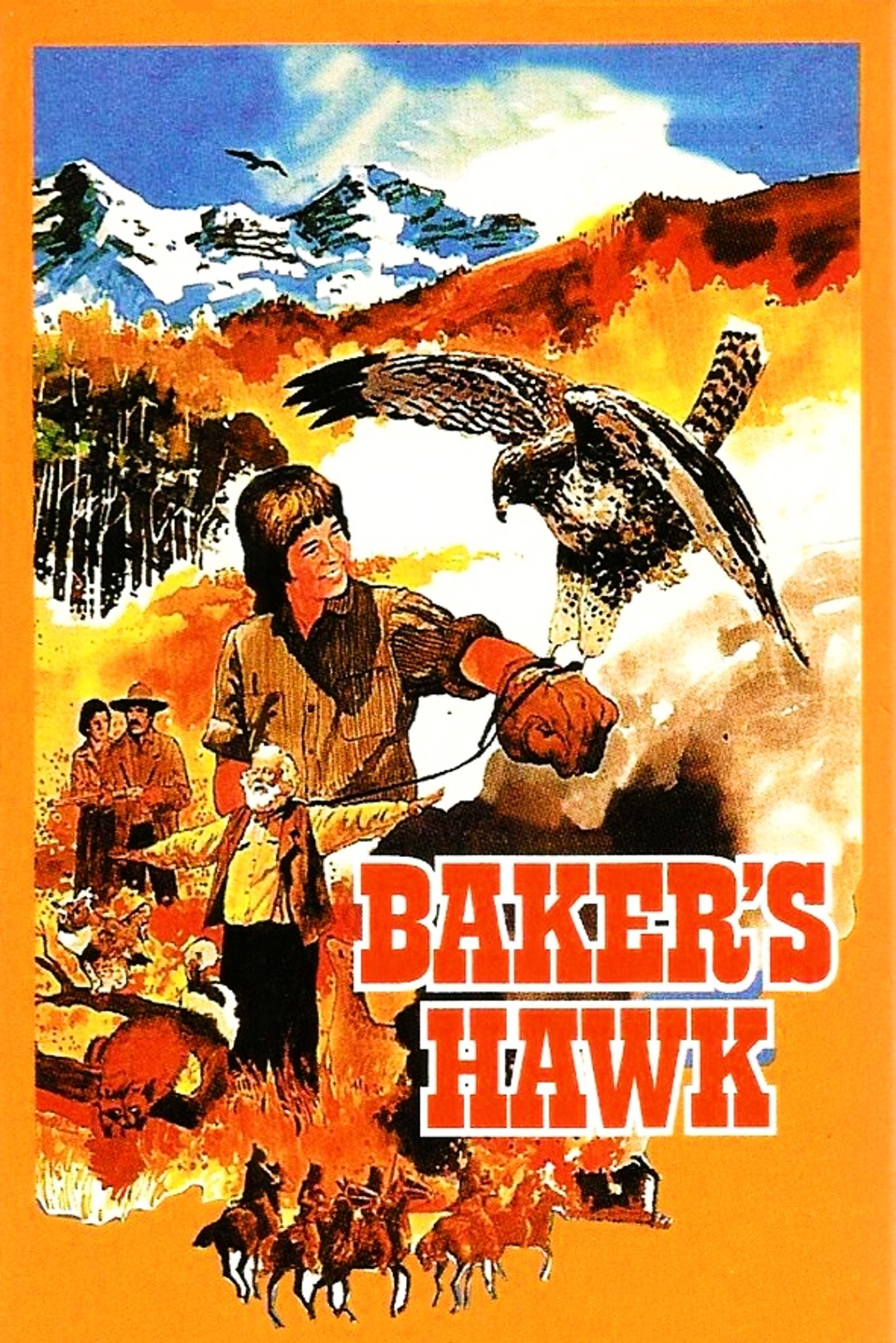 Bakers Habicht
