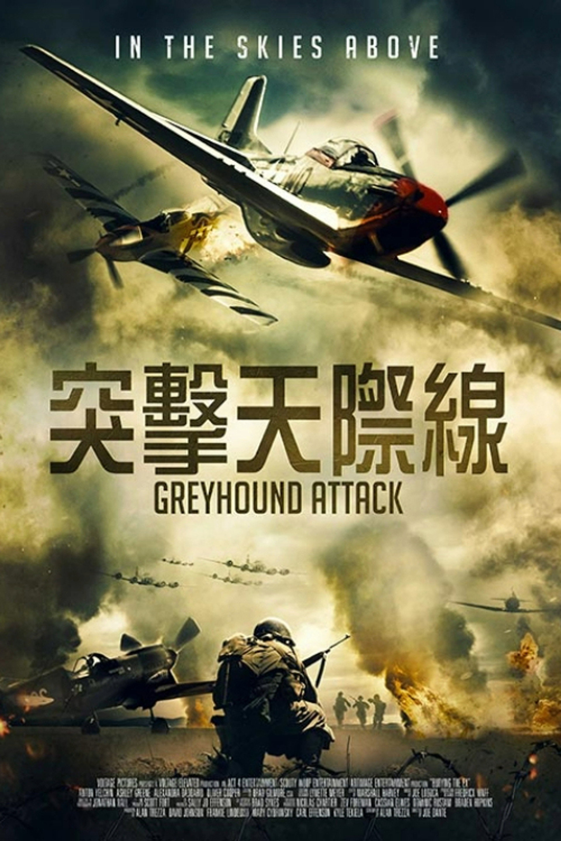 灰狗攻击