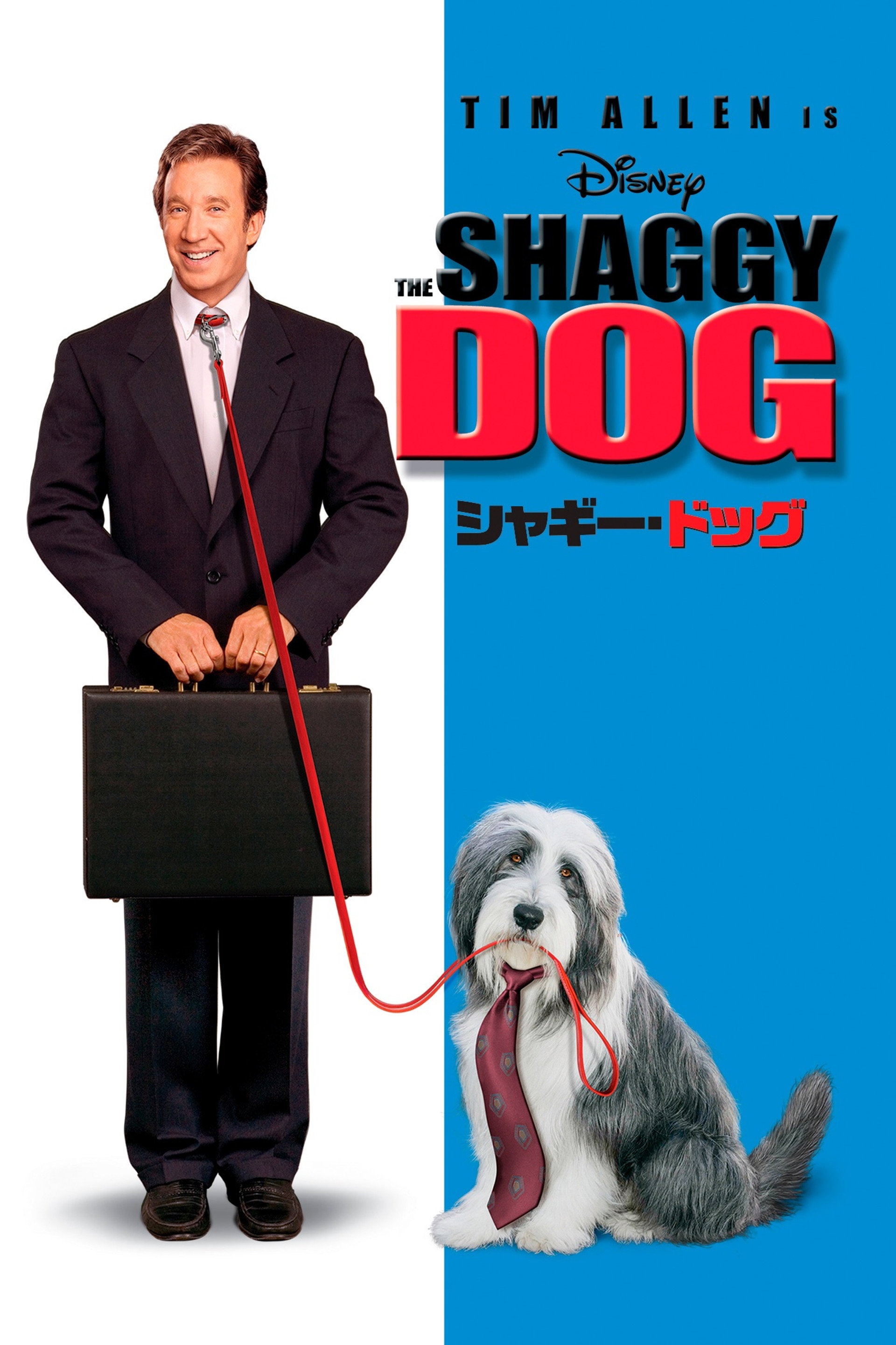 シャギー・ドッグ