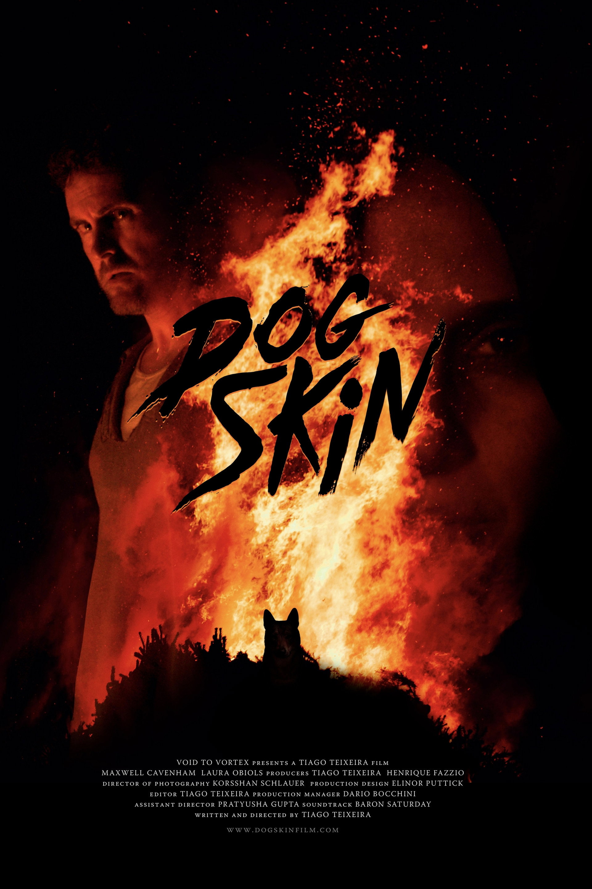 Dog Skin and Other Stories
