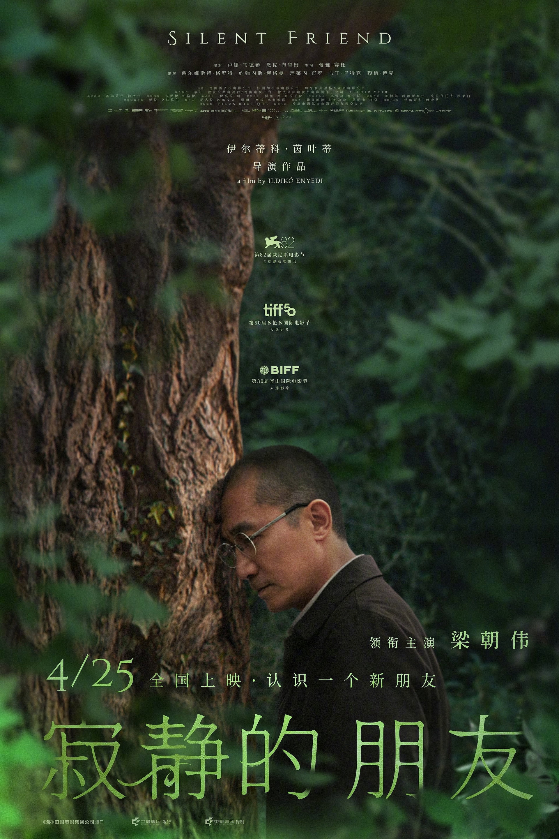 寂静的朋友